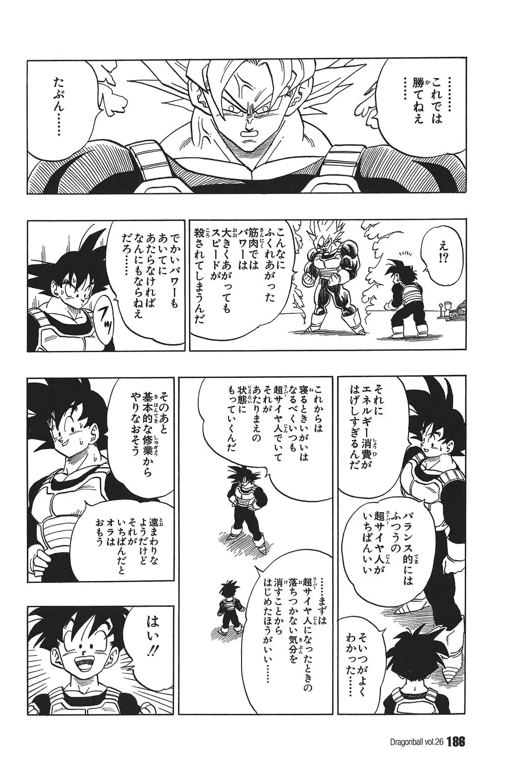 Chapitre 26 — Dragon Ball Kanzenban Vol. 26 — page 191