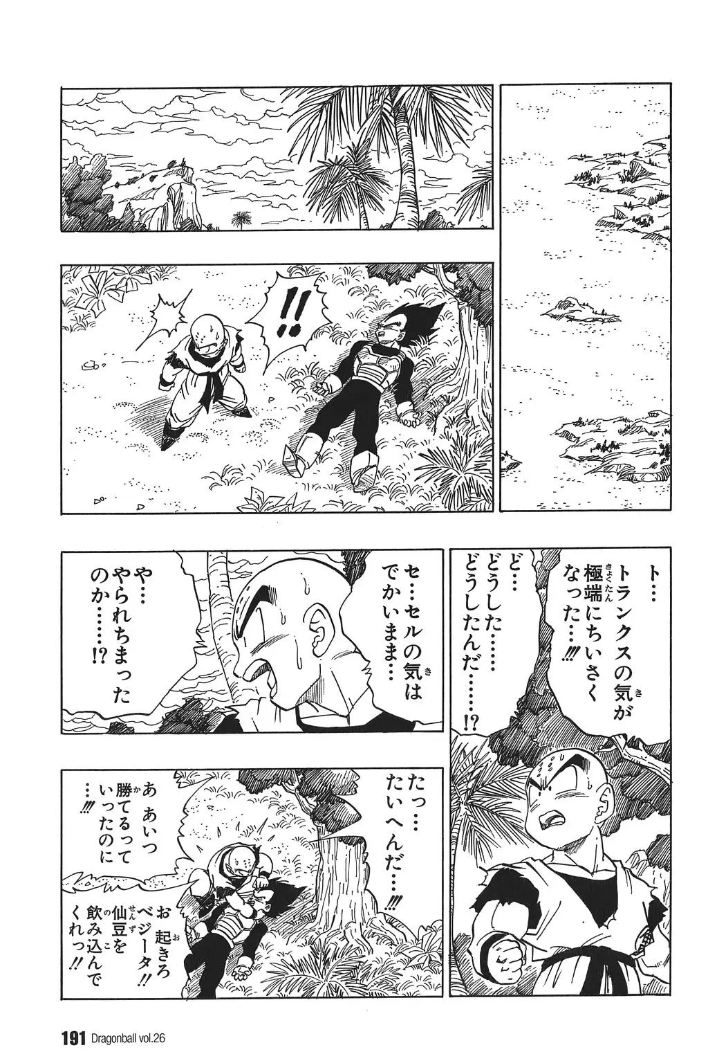 Chapitre 26 — Dragon Ball Kanzenban Vol. 26 — page 196