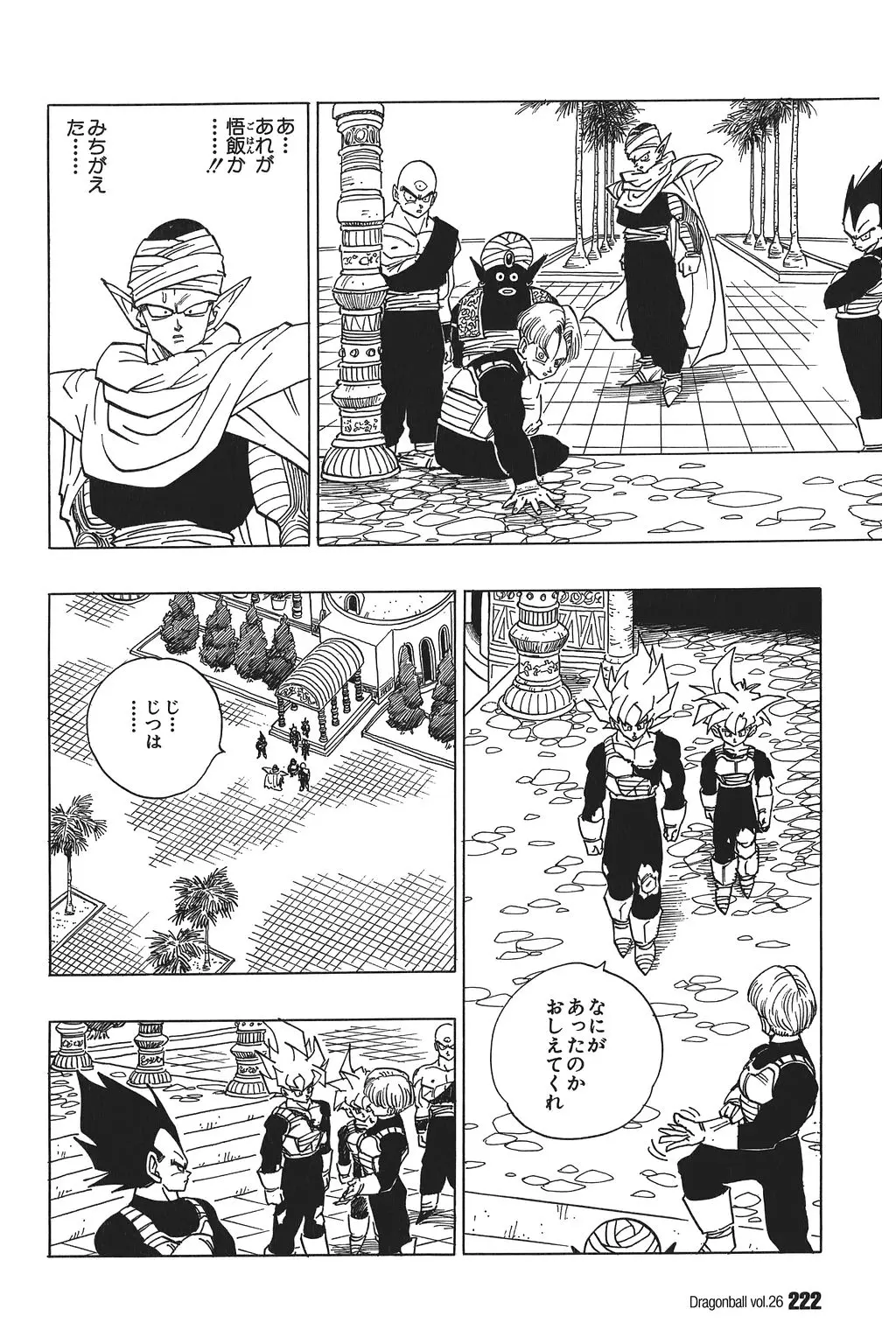 Chapitre 26 — Dragon Ball Kanzenban Vol. 26 — page 227