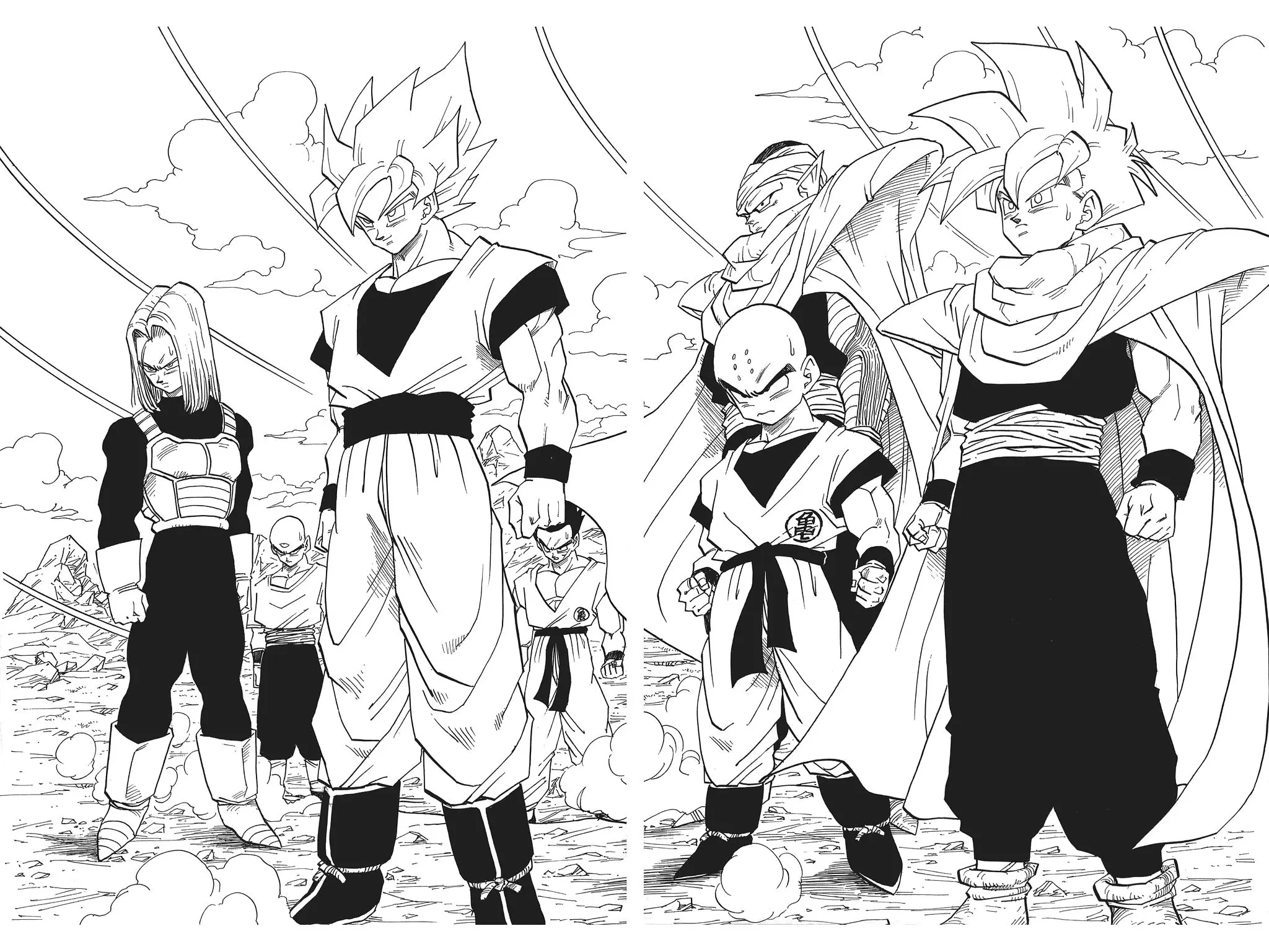 Chapitre 27 — Dragon Ball Kanzenban Vol. 27 — page 77