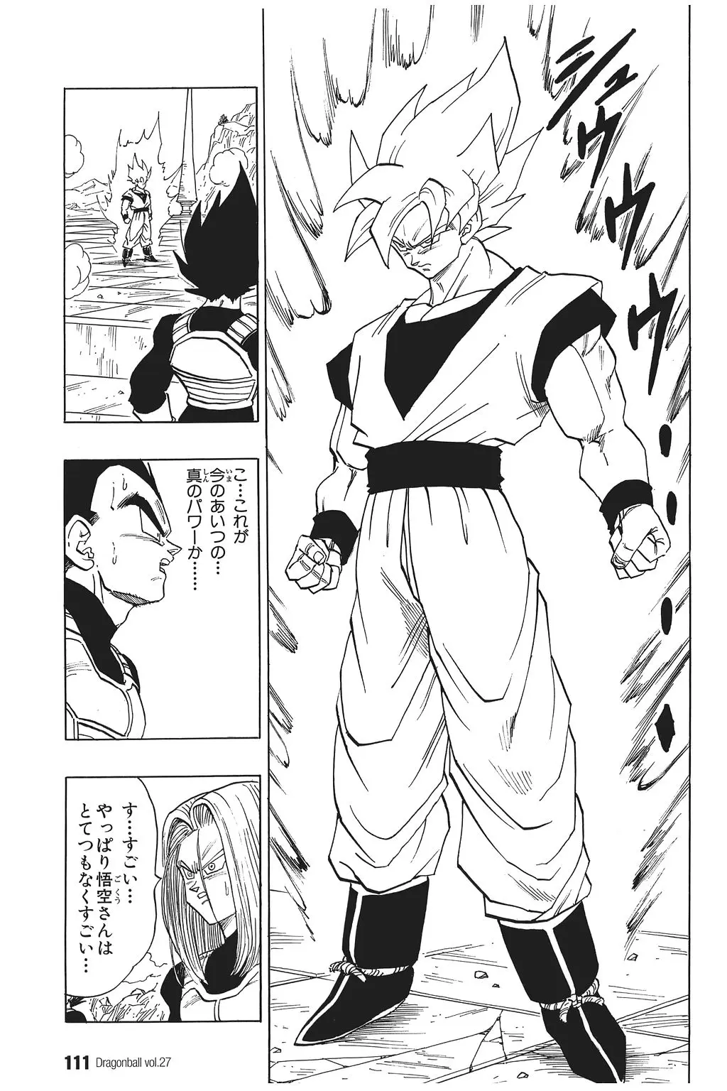 Chapitre 27 — Dragon Ball Kanzenban Vol. 27 — page 115