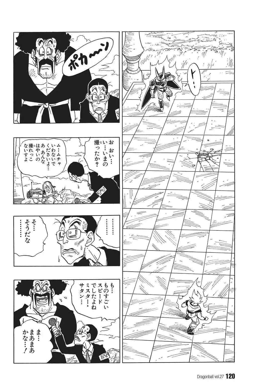 Chapitre 27 — Dragon Ball Kanzenban Vol. 27 — page 124