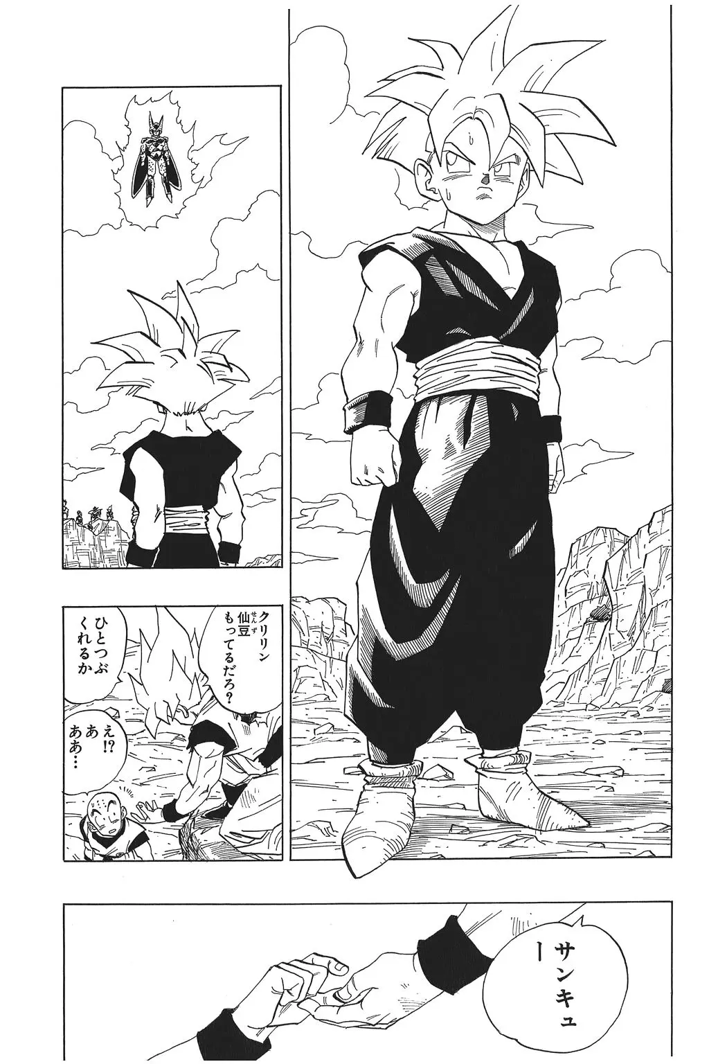 Chapitre 27 — Dragon Ball Kanzenban Vol. 27 — page 189