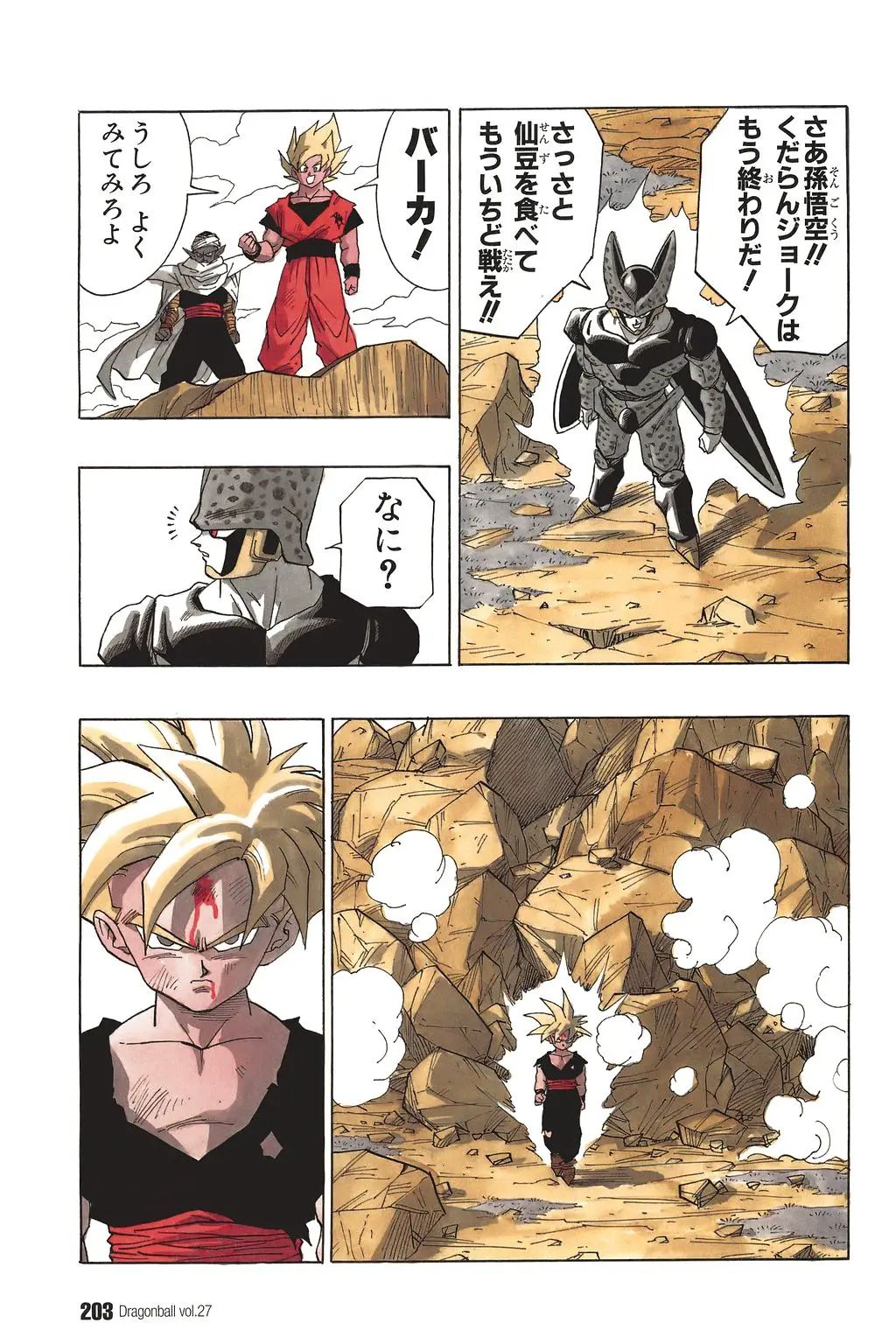Chapitre 27 — Dragon Ball Kanzenban Vol. 27 — page 207