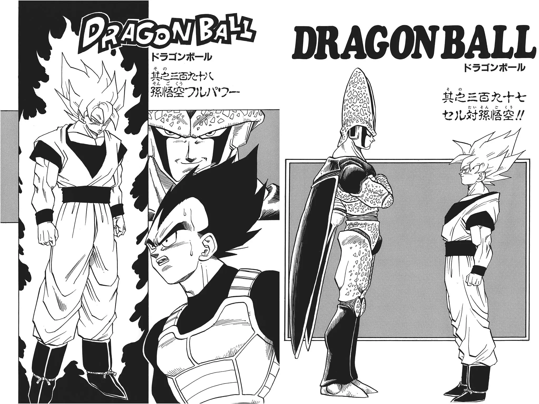 Chapitre 27 — Dragon Ball Kanzenban Vol. 27 — page 234