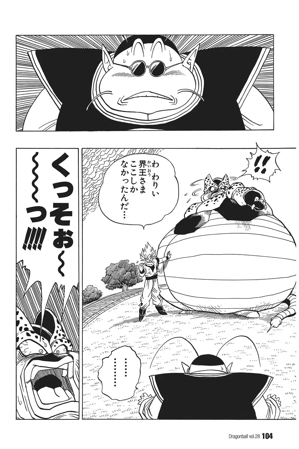Chapitre 28 — Dragon Ball Kanzenban Vol. 28 — page 109