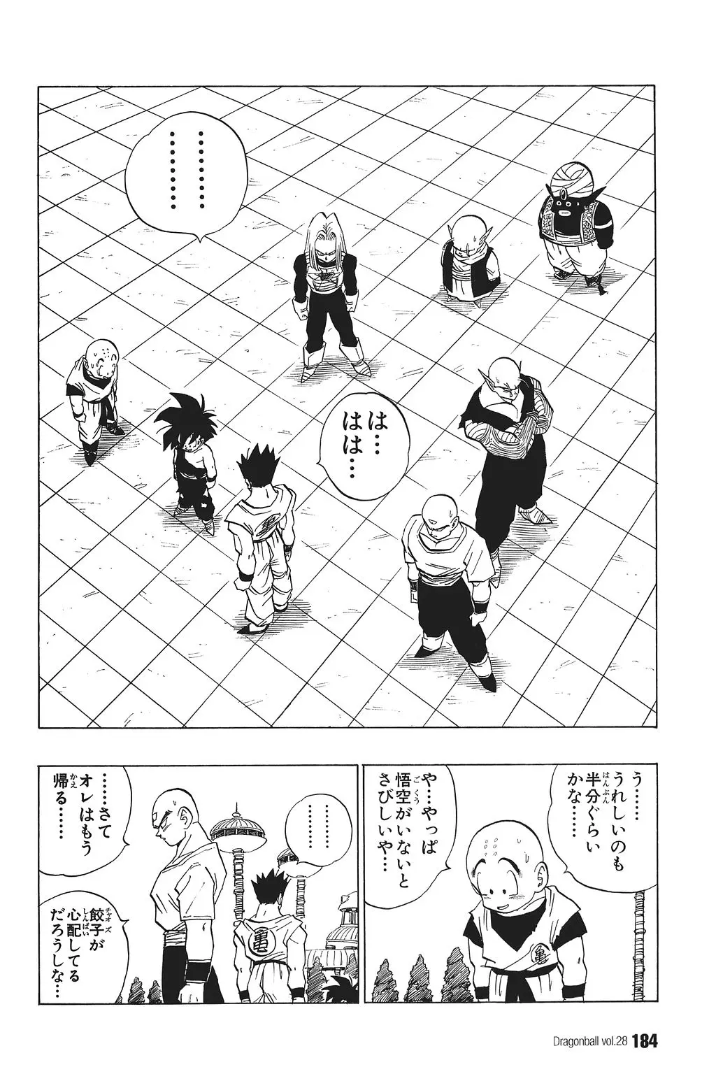 Chapitre 28 — Dragon Ball Kanzenban Vol. 28 — page 189