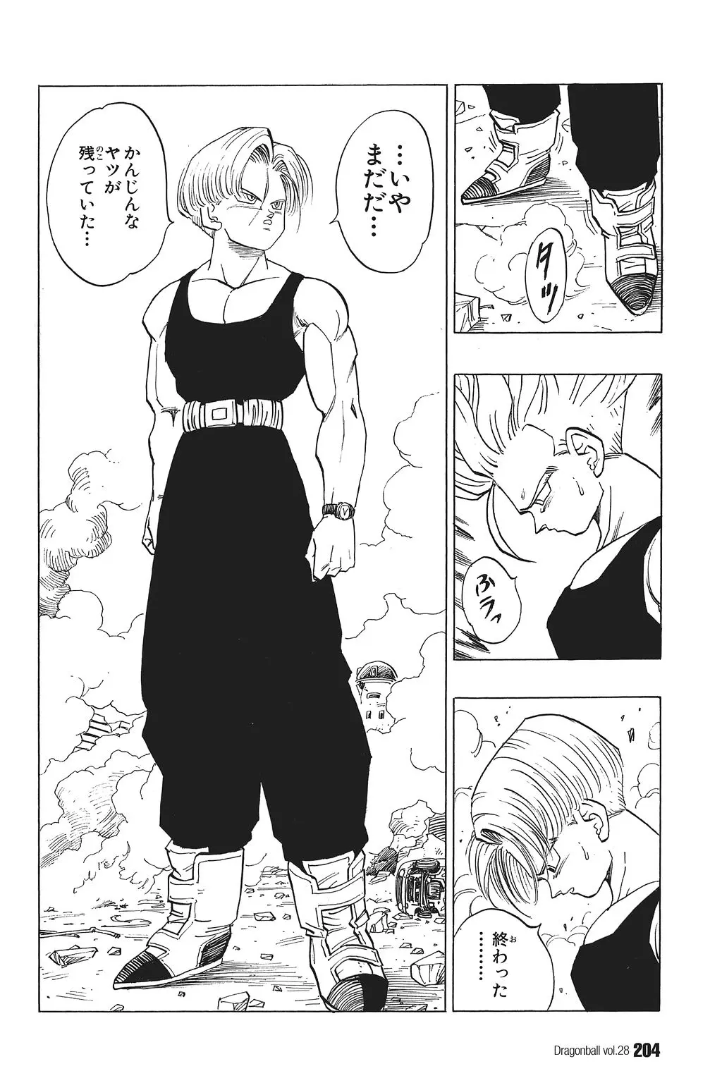 Chapitre 28 — Dragon Ball Kanzenban Vol. 28 — page 209