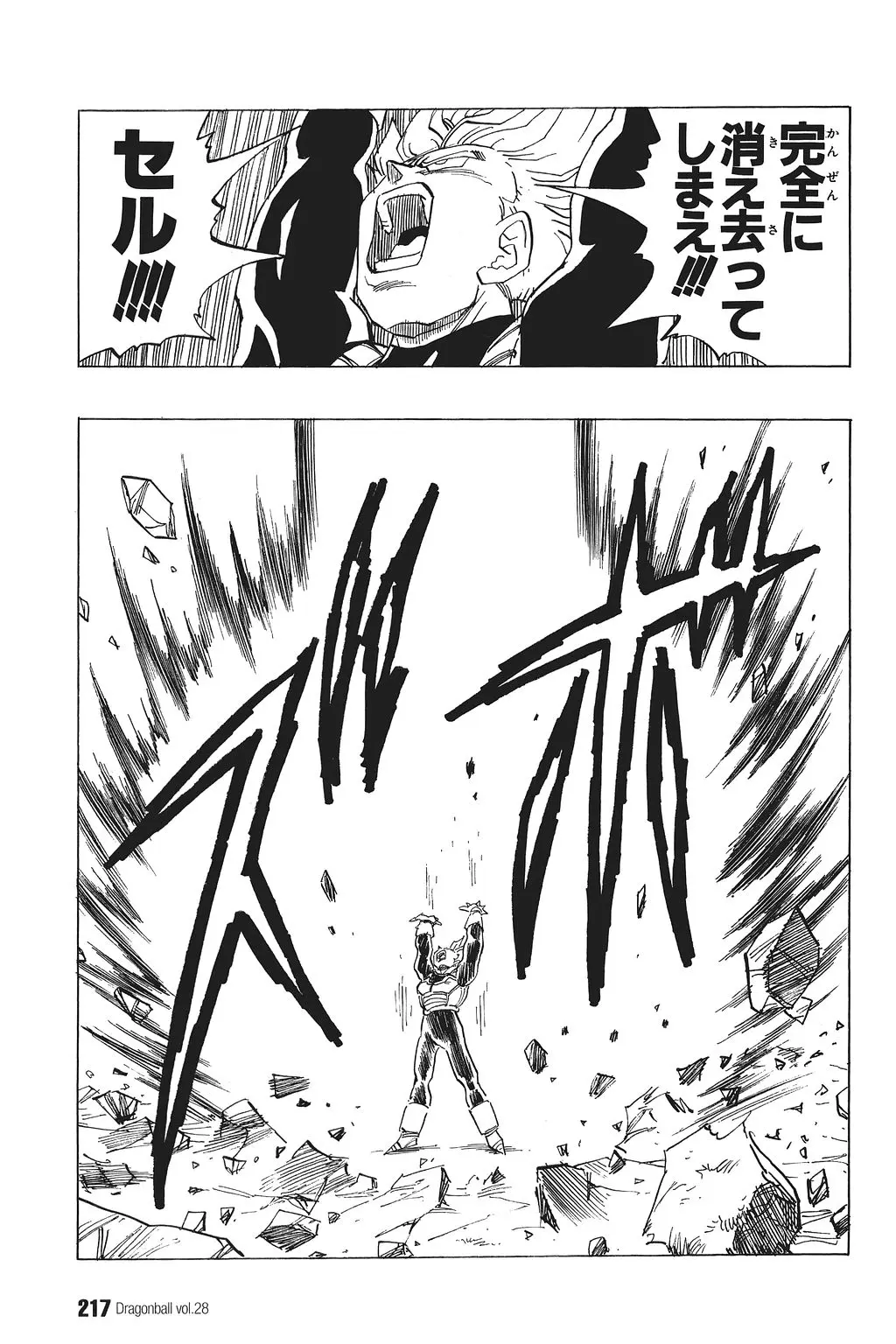 Chapitre 28 — Dragon Ball Kanzenban Vol. 28 — page 222