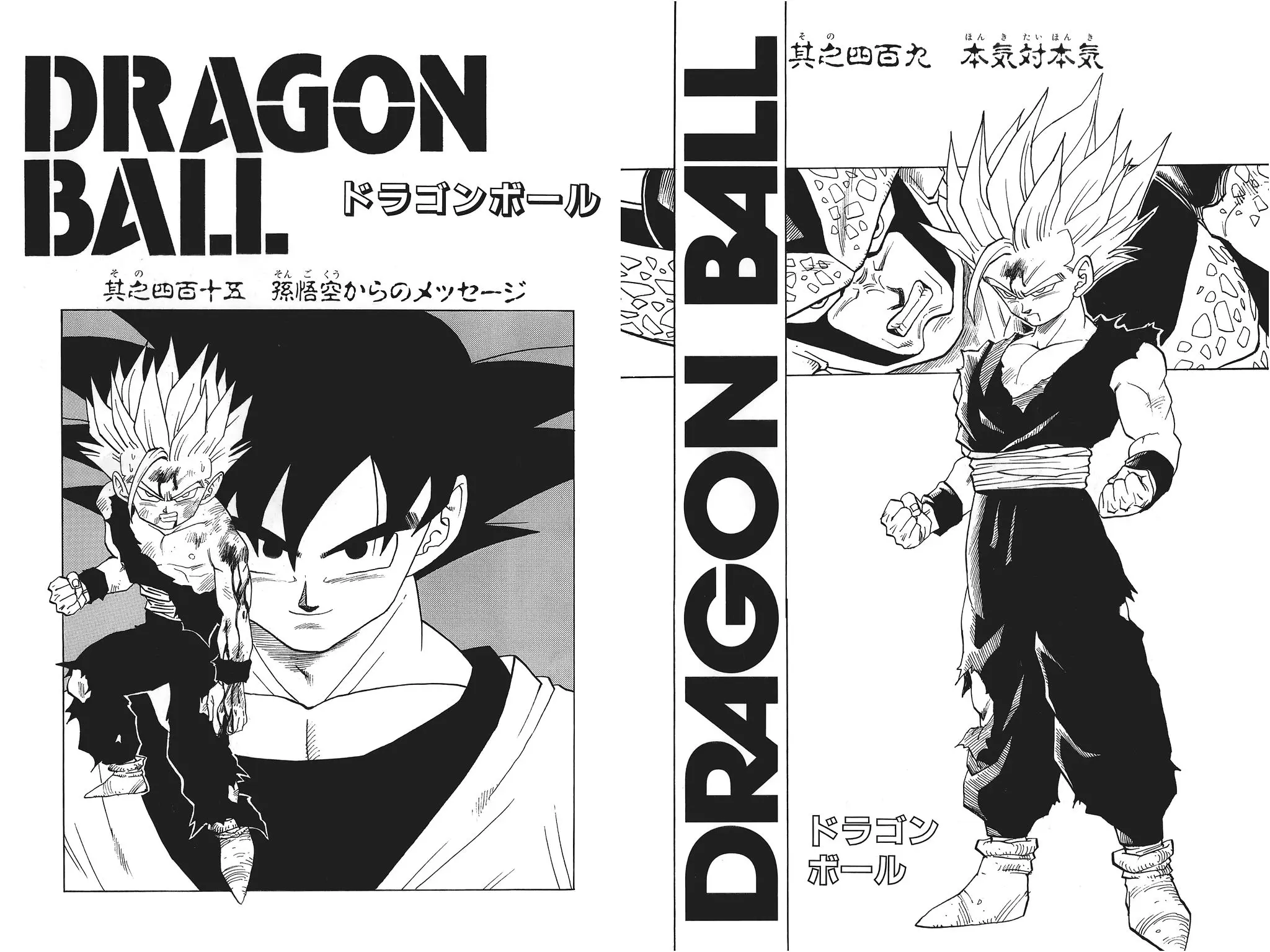 Chapitre 28 — Dragon Ball Kanzenban Vol. 28 — page 229