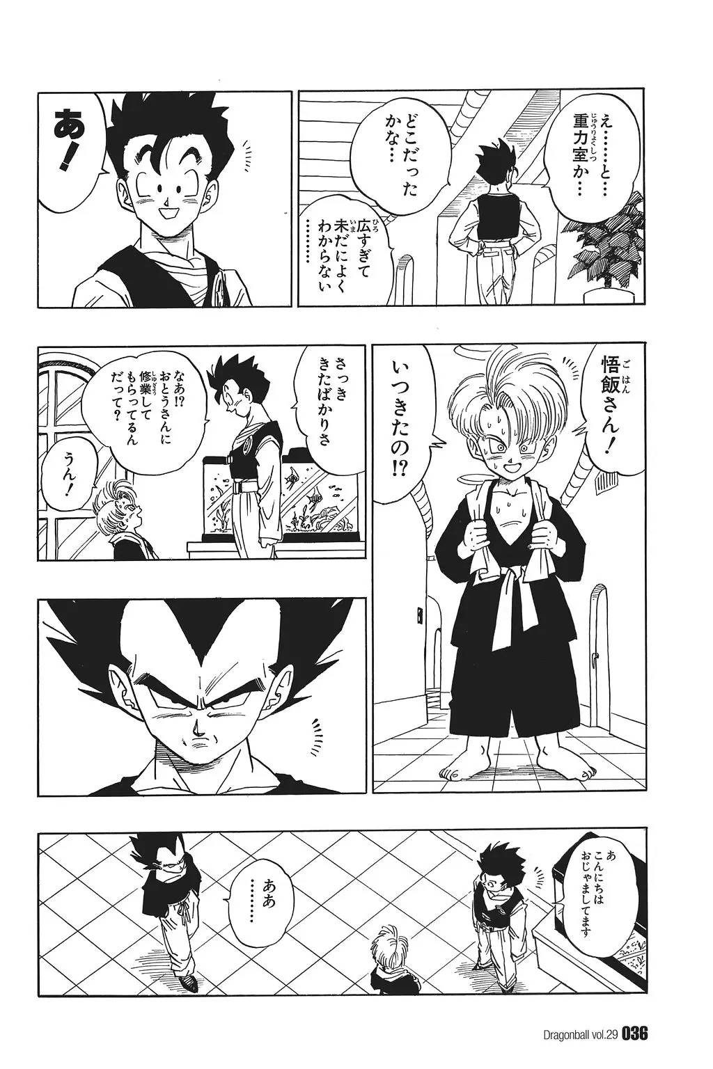 Chapitre 29 — Dragon Ball Kanzenban Vol. 29 — page 41