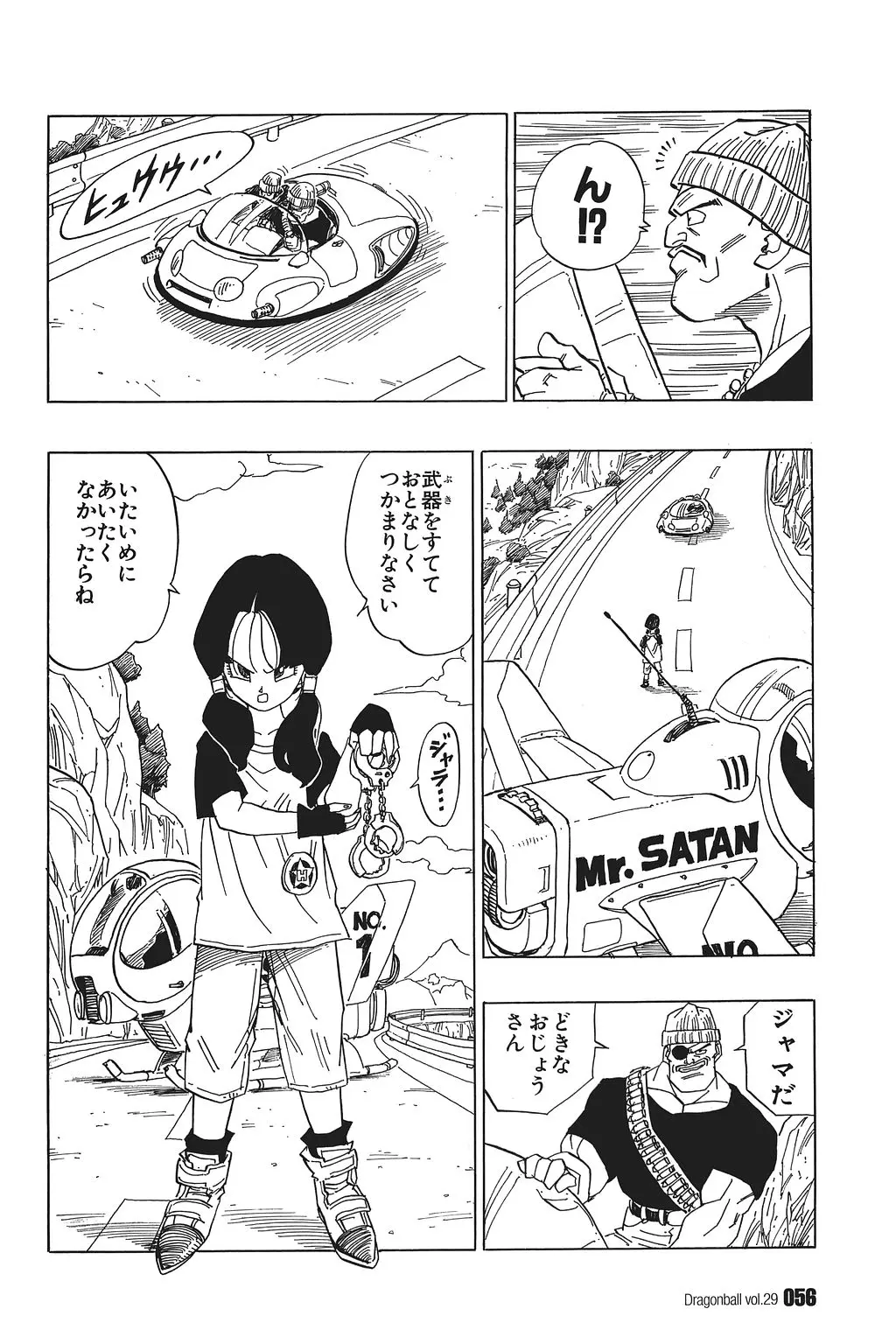 Chapitre 29 — Dragon Ball Kanzenban Vol. 29 — page 61