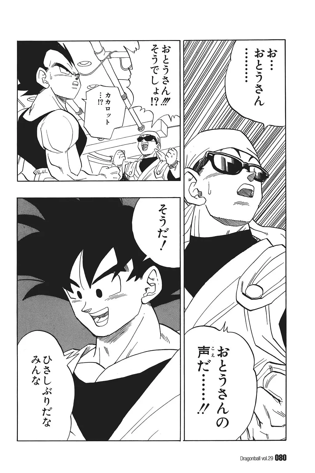 Chapitre 29 — Dragon Ball Kanzenban Vol. 29 — page 85