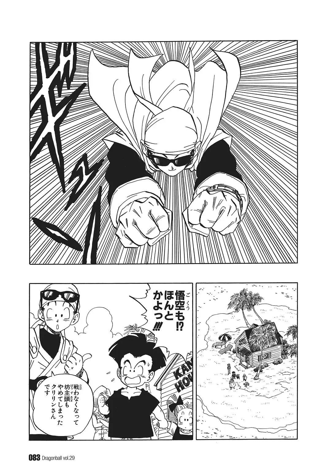 Chapitre 29 — Dragon Ball Kanzenban Vol. 29 — page 88