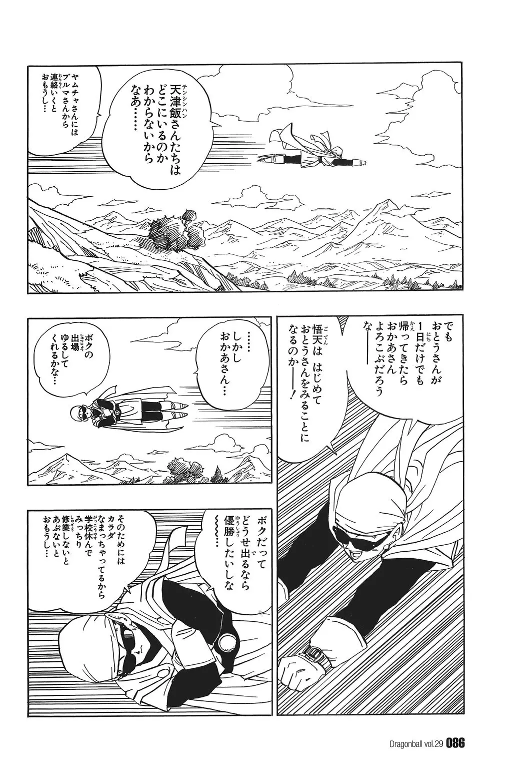 Chapitre 29 — Dragon Ball Kanzenban Vol. 29 — page 91