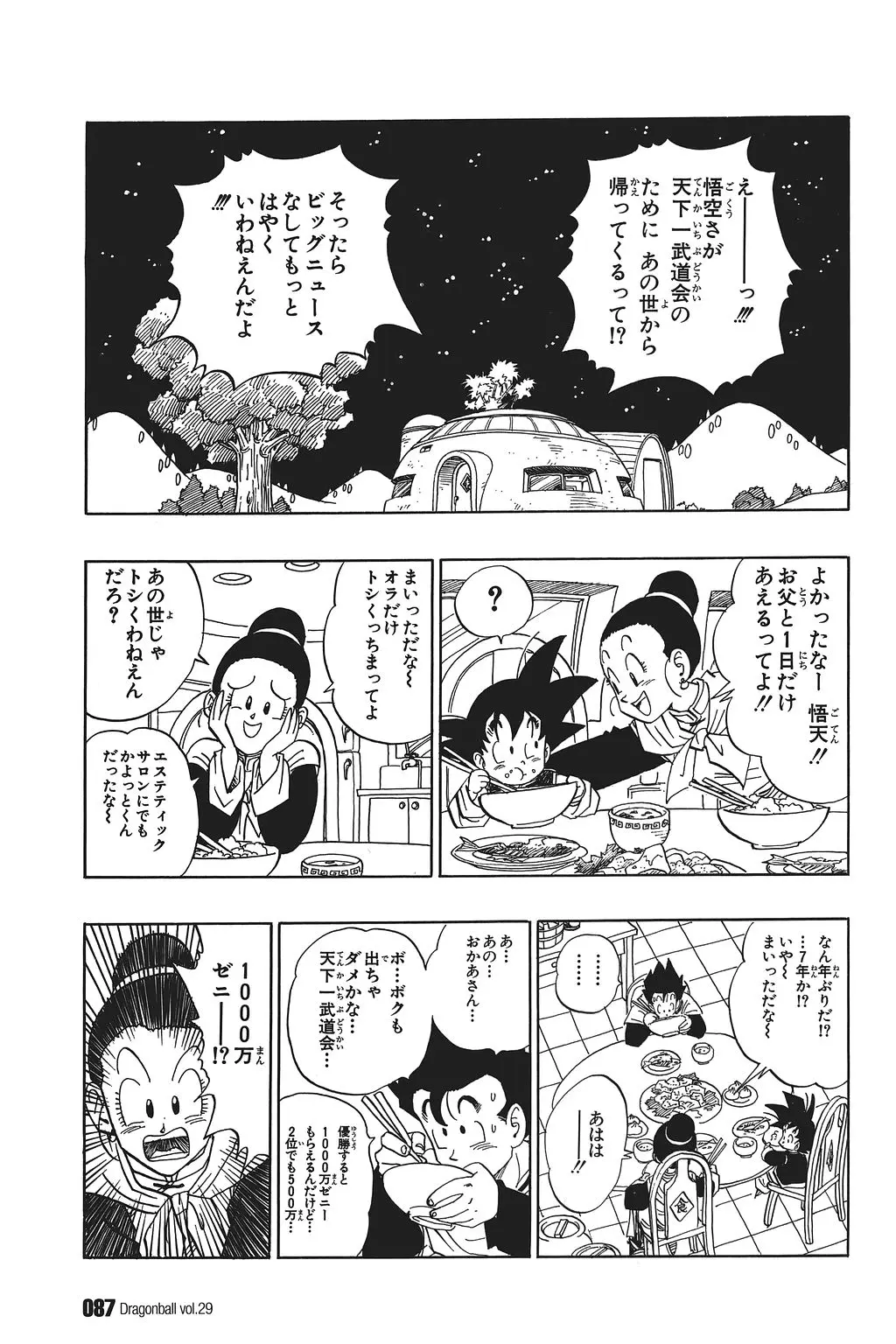 Chapitre 29 — Dragon Ball Kanzenban Vol. 29 — page 92