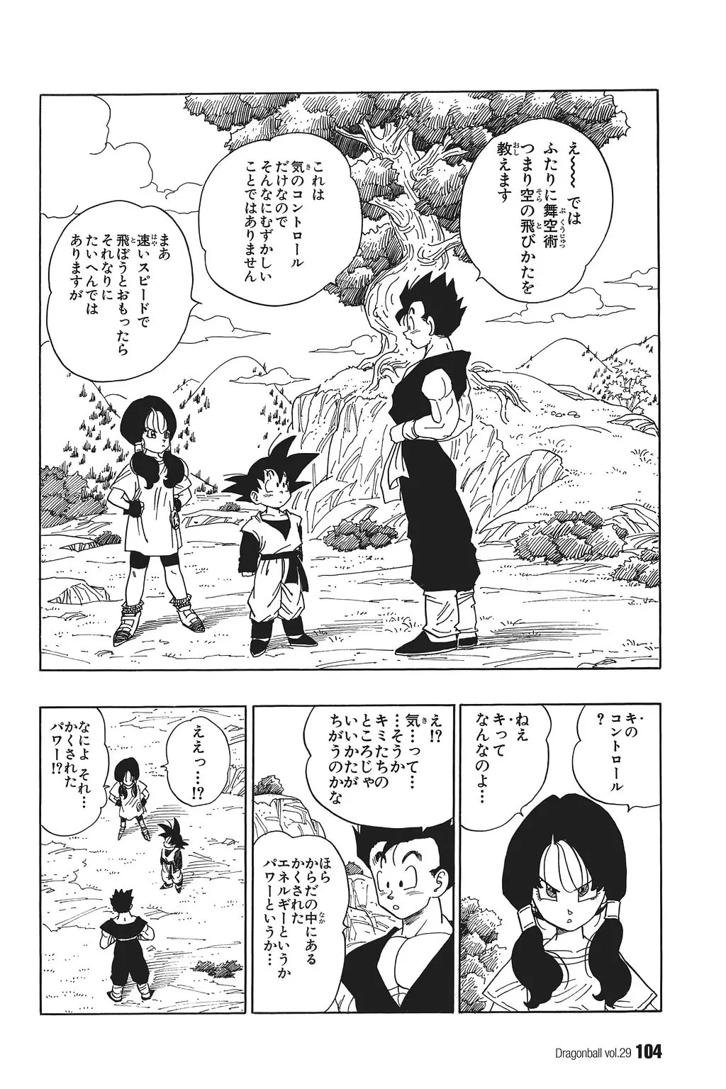 Chapitre 29 — Dragon Ball Kanzenban Vol. 29 — page 109