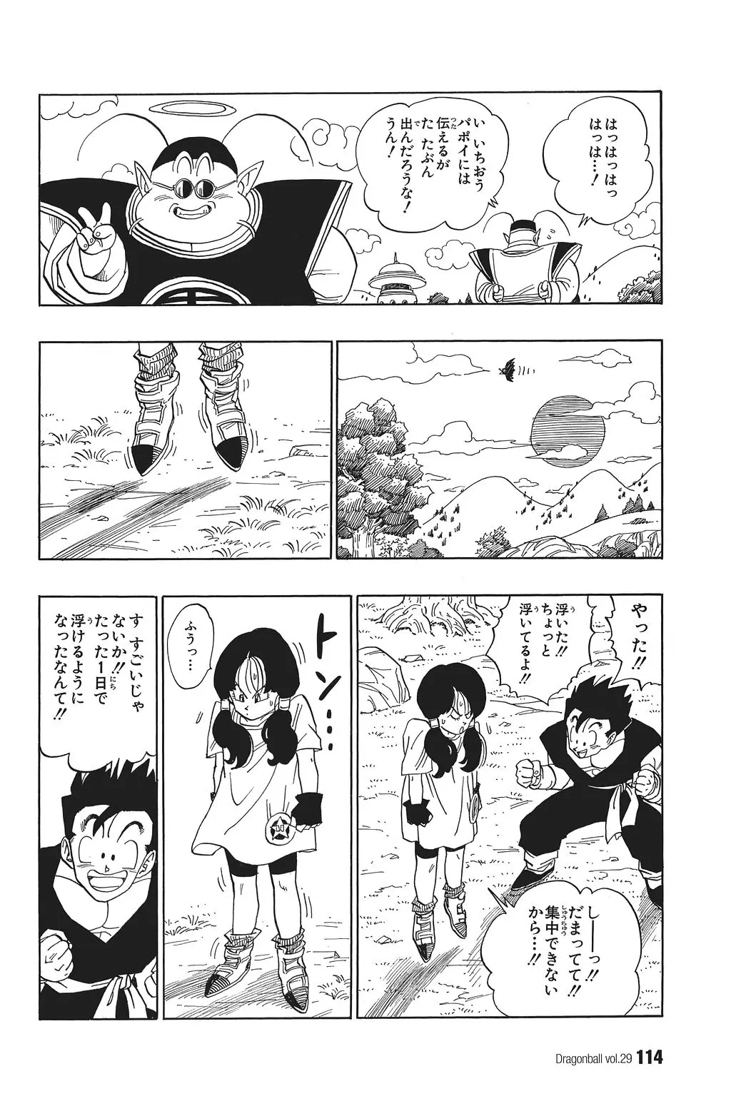 Chapitre 29 — Dragon Ball Kanzenban Vol. 29 — page 119