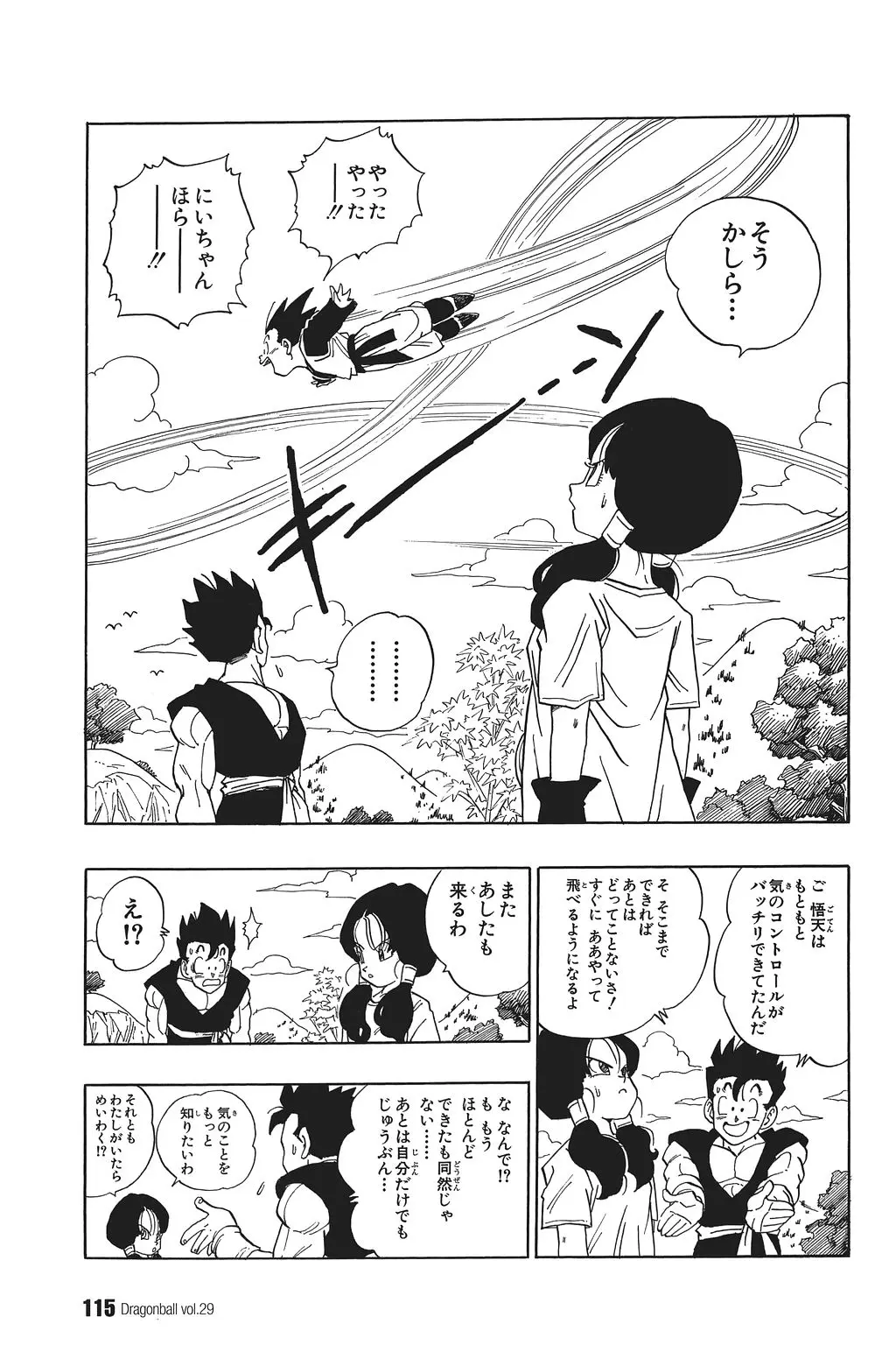 Chapitre 29 — Dragon Ball Kanzenban Vol. 29 — page 120