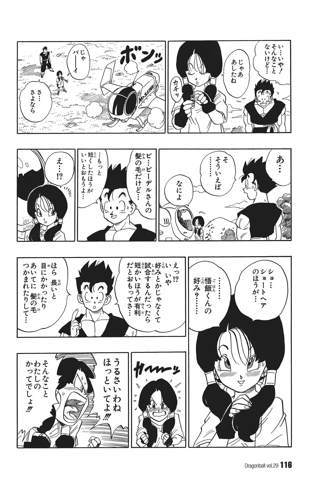 Chapitre 29 — Dragon Ball Kanzenban Vol. 29 — page 121