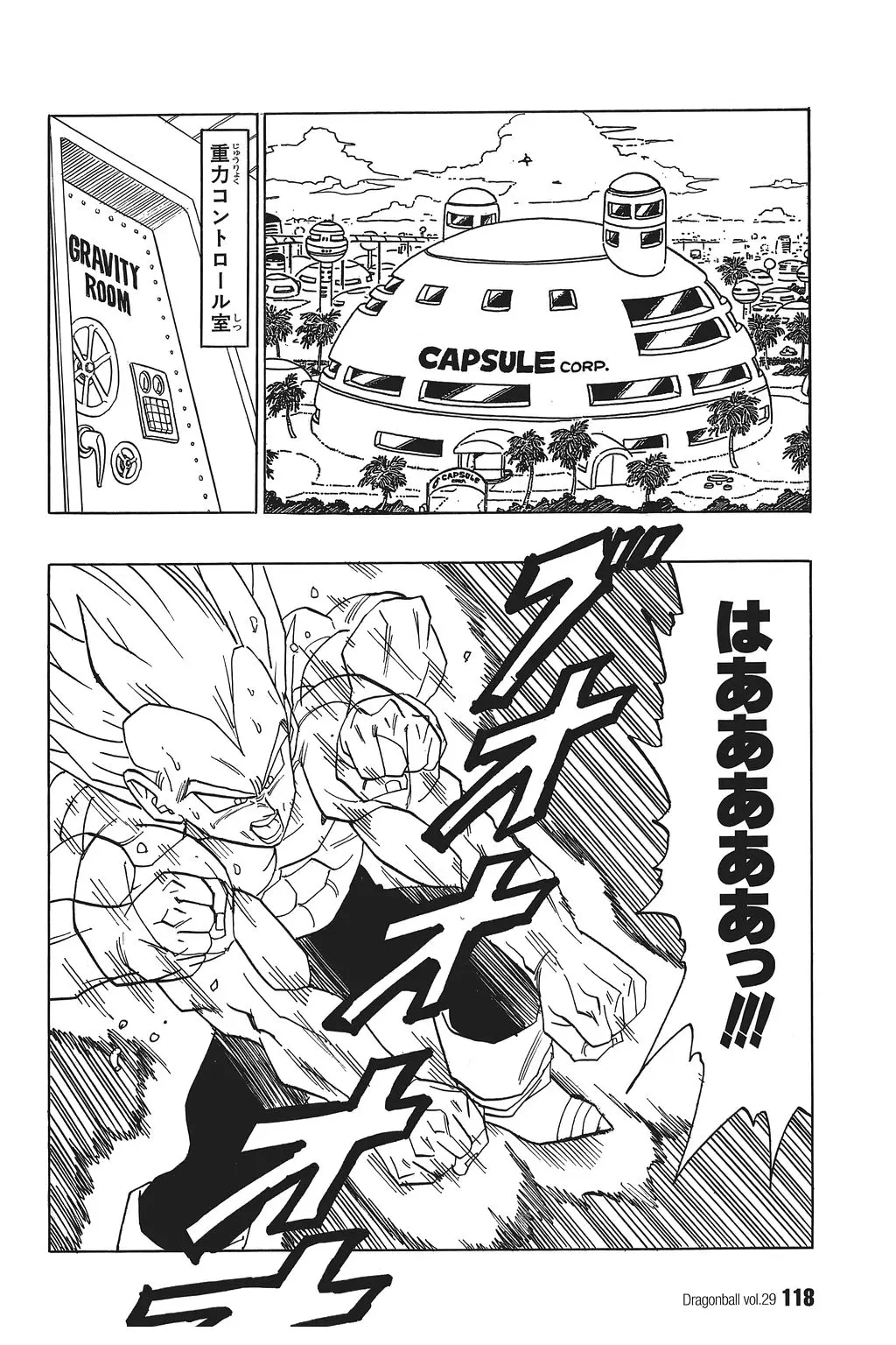 Chapitre 29 — Dragon Ball Kanzenban Vol. 29 — page 123