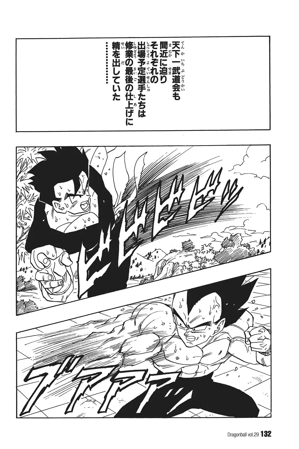 Chapitre 29 — Dragon Ball Kanzenban Vol. 29 — page 137