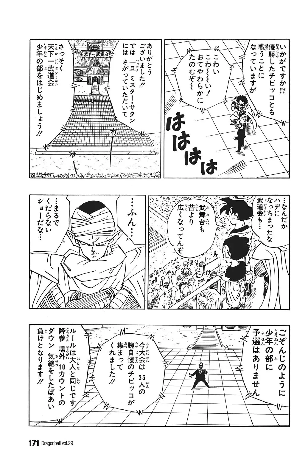 Chapitre 29 — Dragon Ball Kanzenban Vol. 29 — page 176