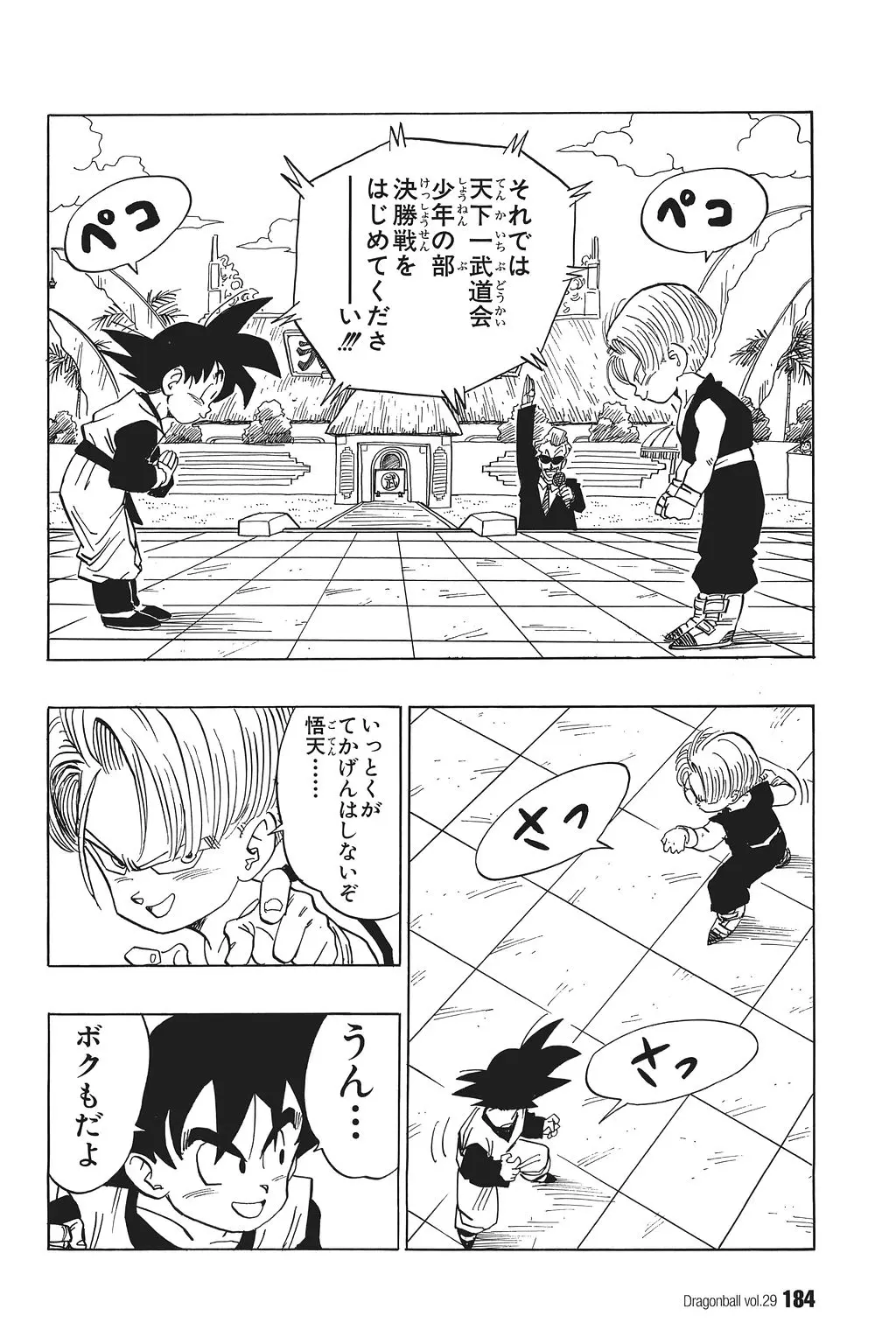 Chapitre 29 — Dragon Ball Kanzenban Vol. 29 — page 189