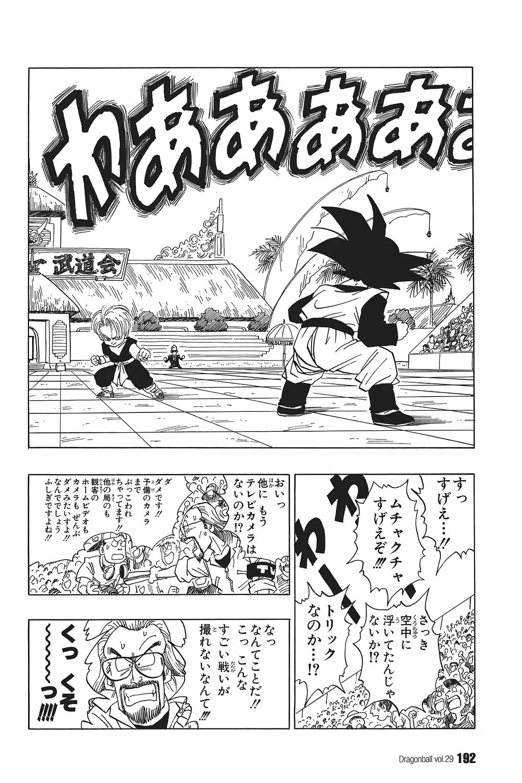 Chapitre 29 — Dragon Ball Kanzenban Vol. 29 — page 197