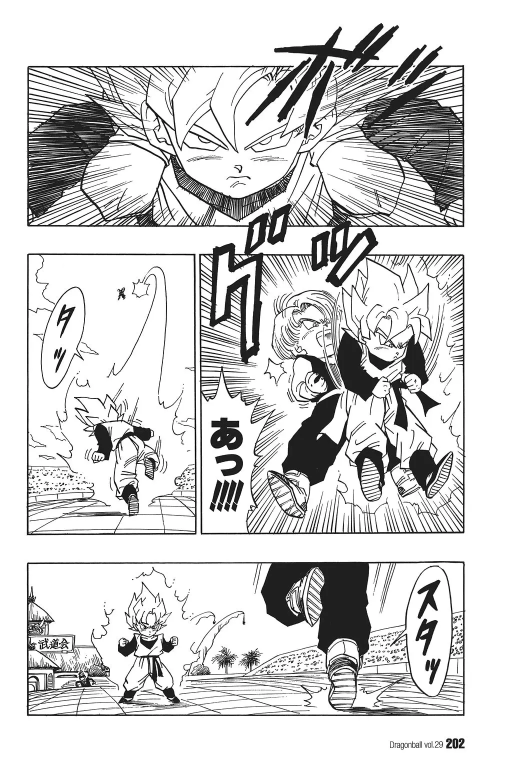 Chapitre 29 — Dragon Ball Kanzenban Vol. 29 — page 207