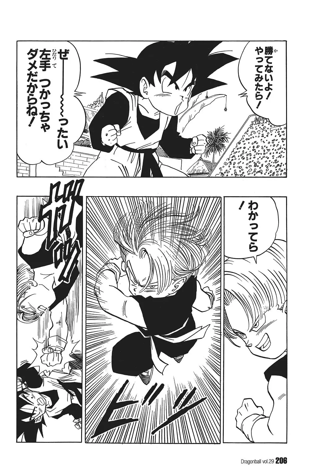 Chapitre 29 — Dragon Ball Kanzenban Vol. 29 — page 211