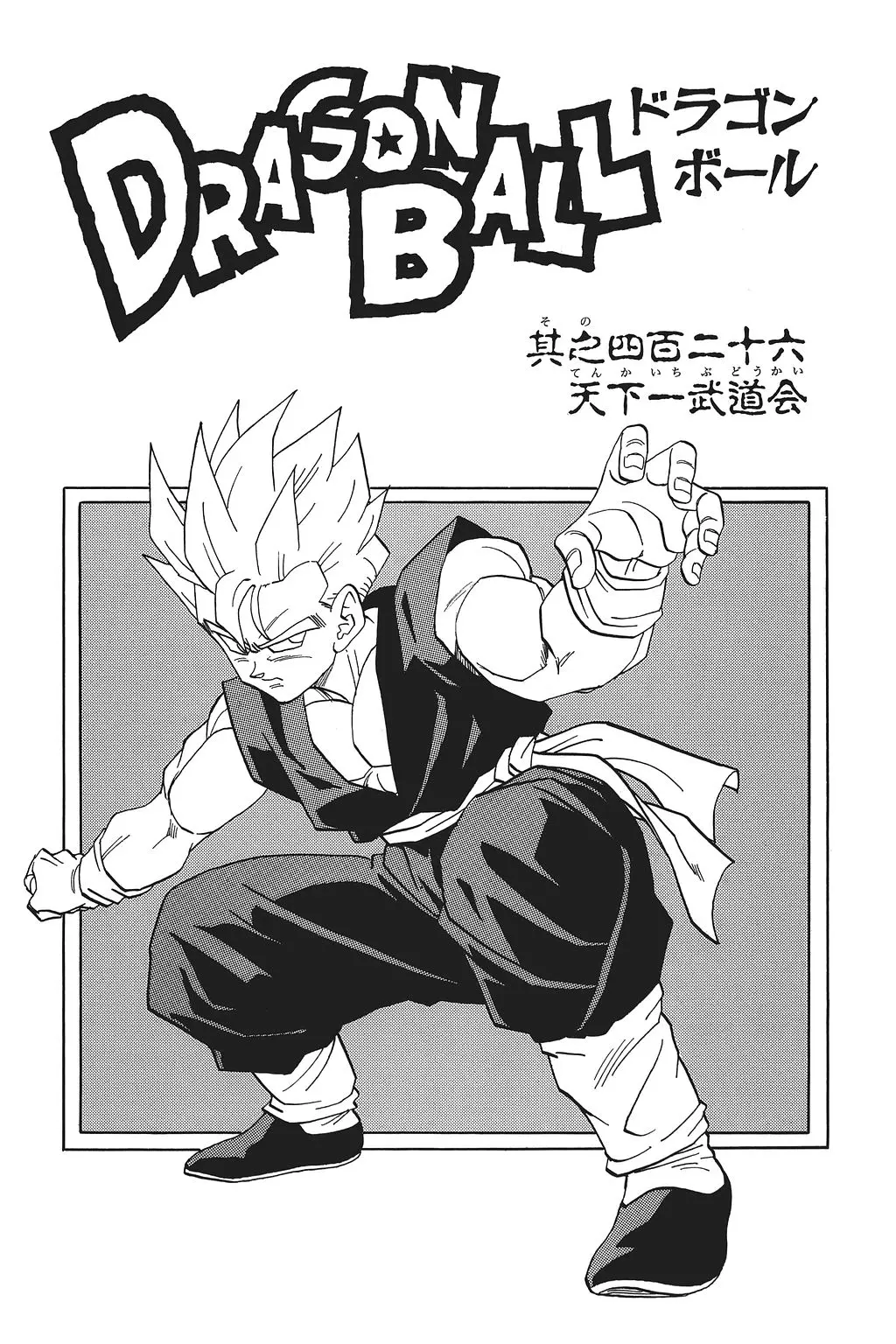 Chapitre 29 — Dragon Ball Kanzenban Vol. 29 — page 243
