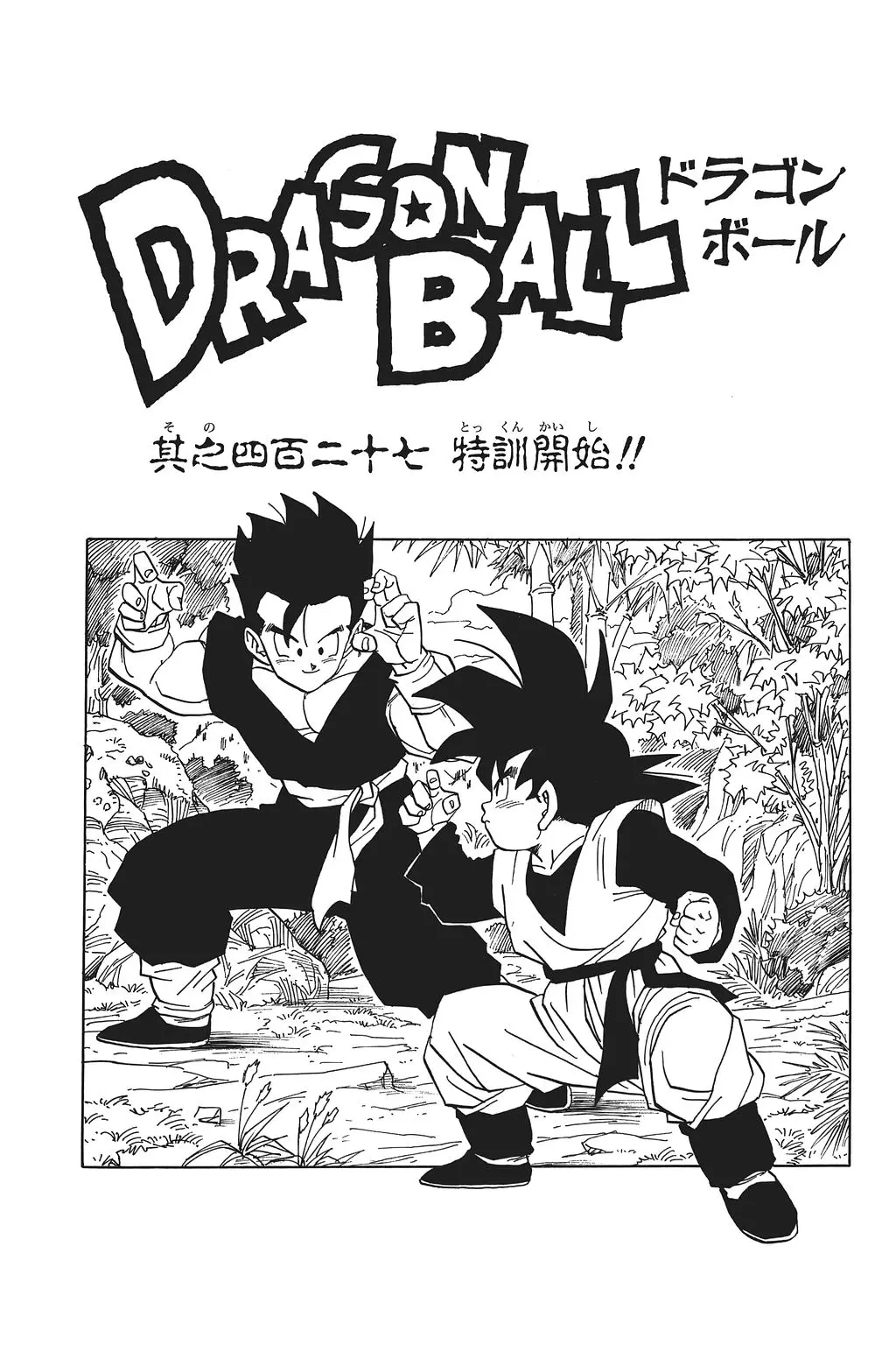 Chapitre 29 — Dragon Ball Kanzenban Vol. 29 — page 244