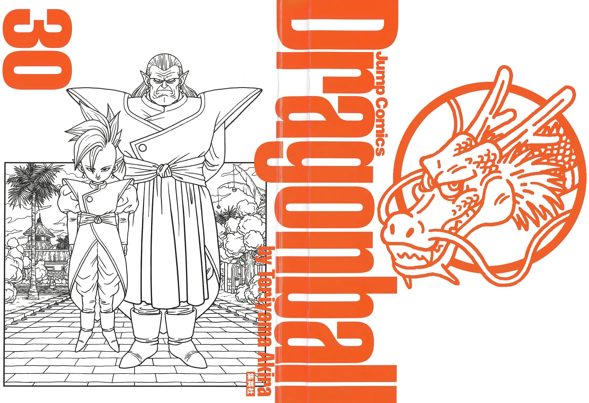 Chapitre 30 — Dragon Ball Kanzenban Vol. 30 — page 4