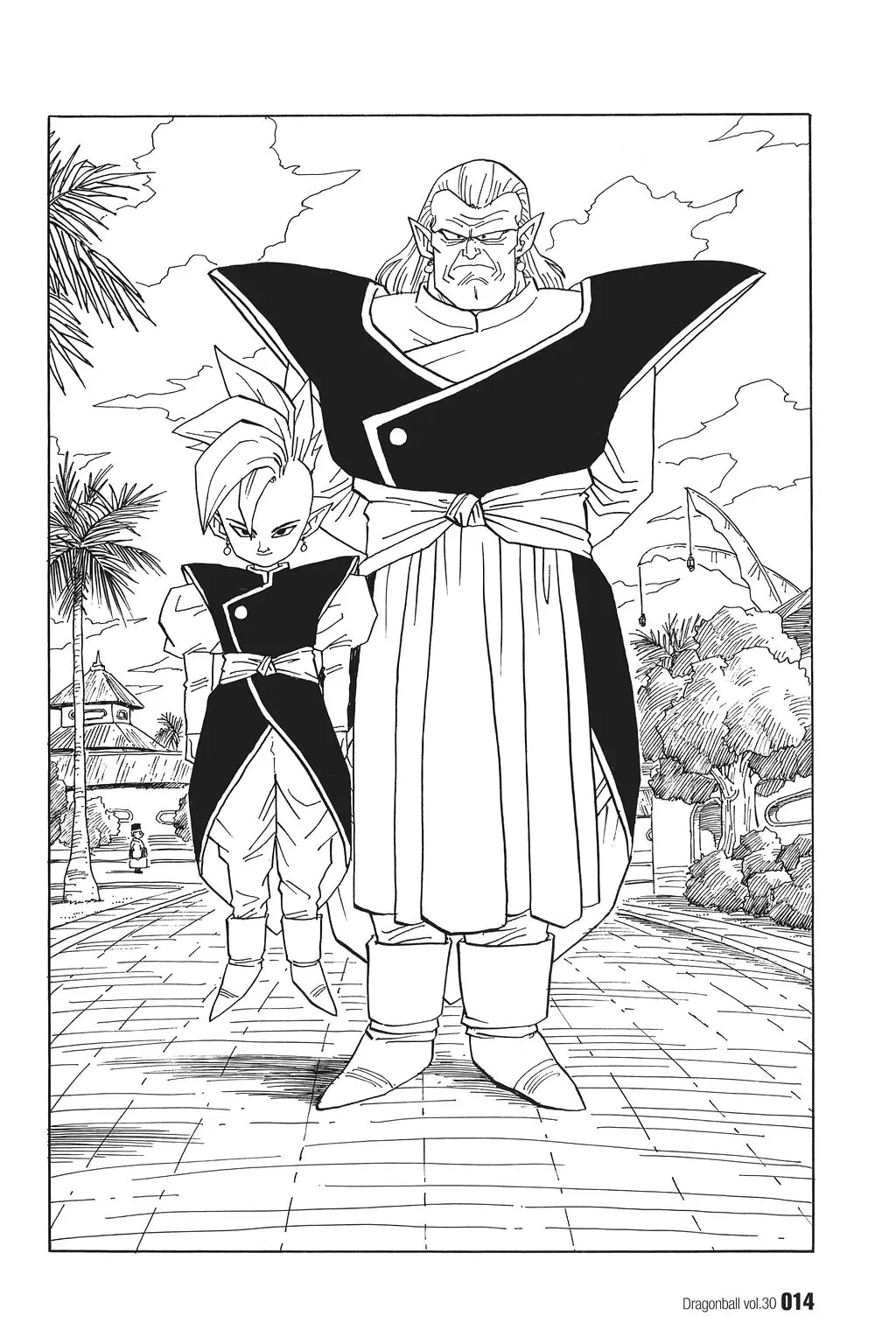 Chapitre 30 — Dragon Ball Kanzenban Vol. 30 — page 19