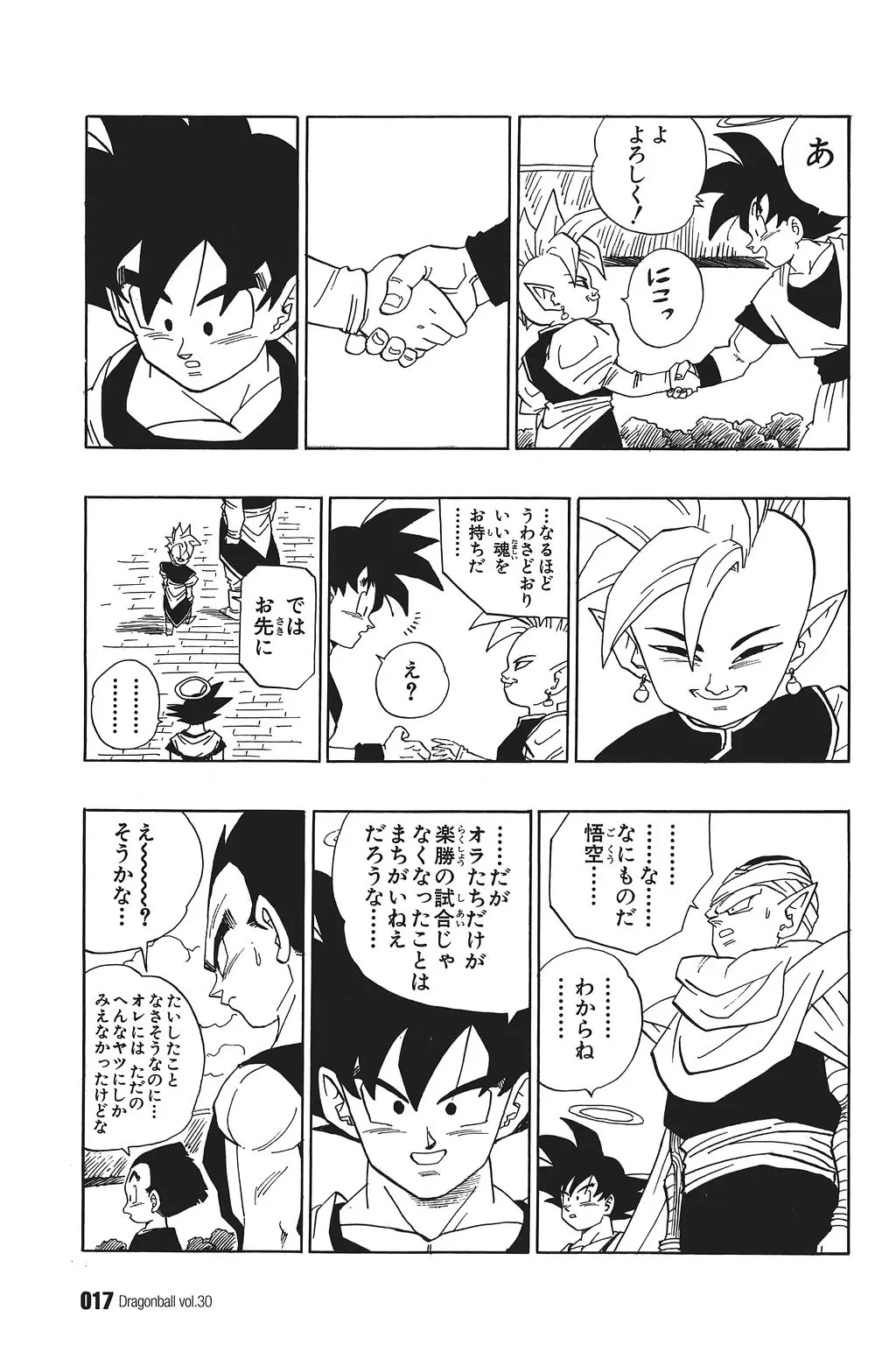 Chapitre 30 — Dragon Ball Kanzenban Vol. 30 — page 22