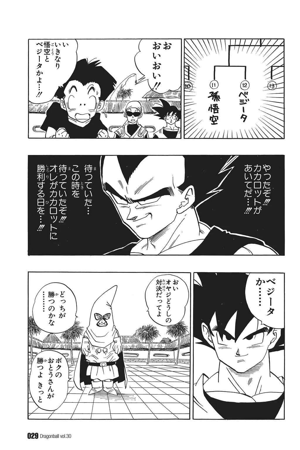 Chapitre 30 — Dragon Ball Kanzenban Vol. 30 — page 34