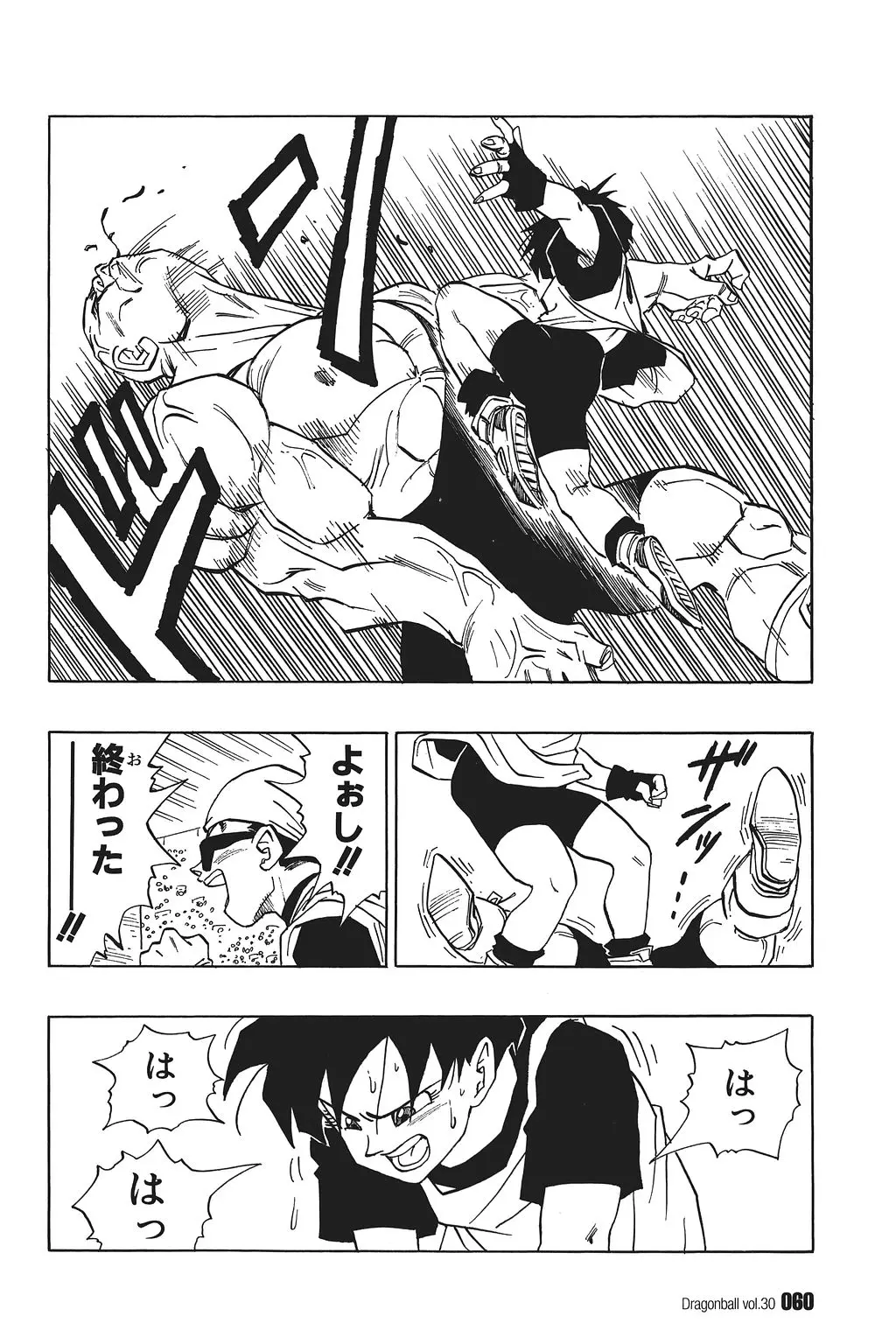 Chapitre 30 — Dragon Ball Kanzenban Vol. 30 — page 65