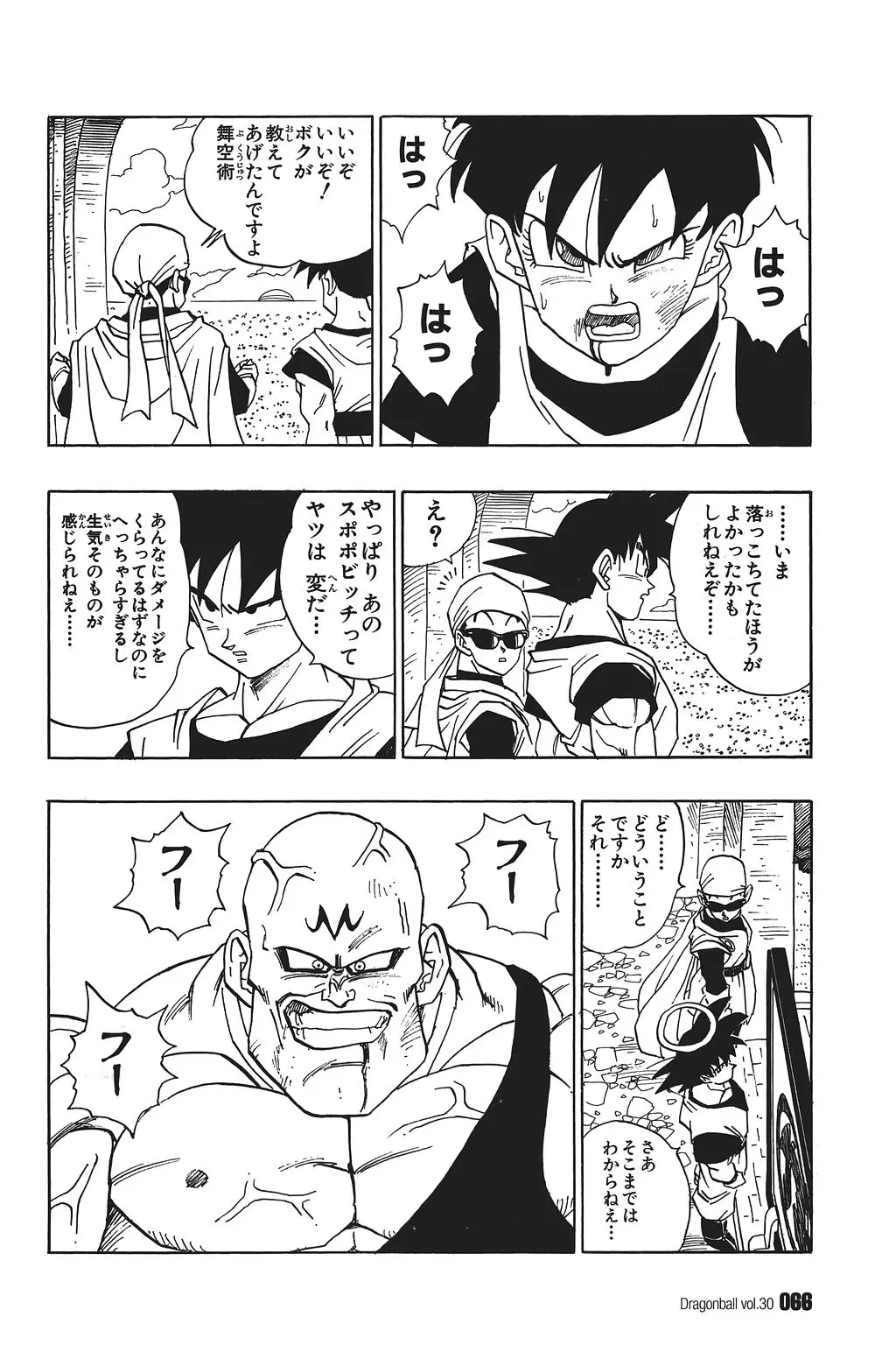 Chapitre 30 — Dragon Ball Kanzenban Vol. 30 — page 71
