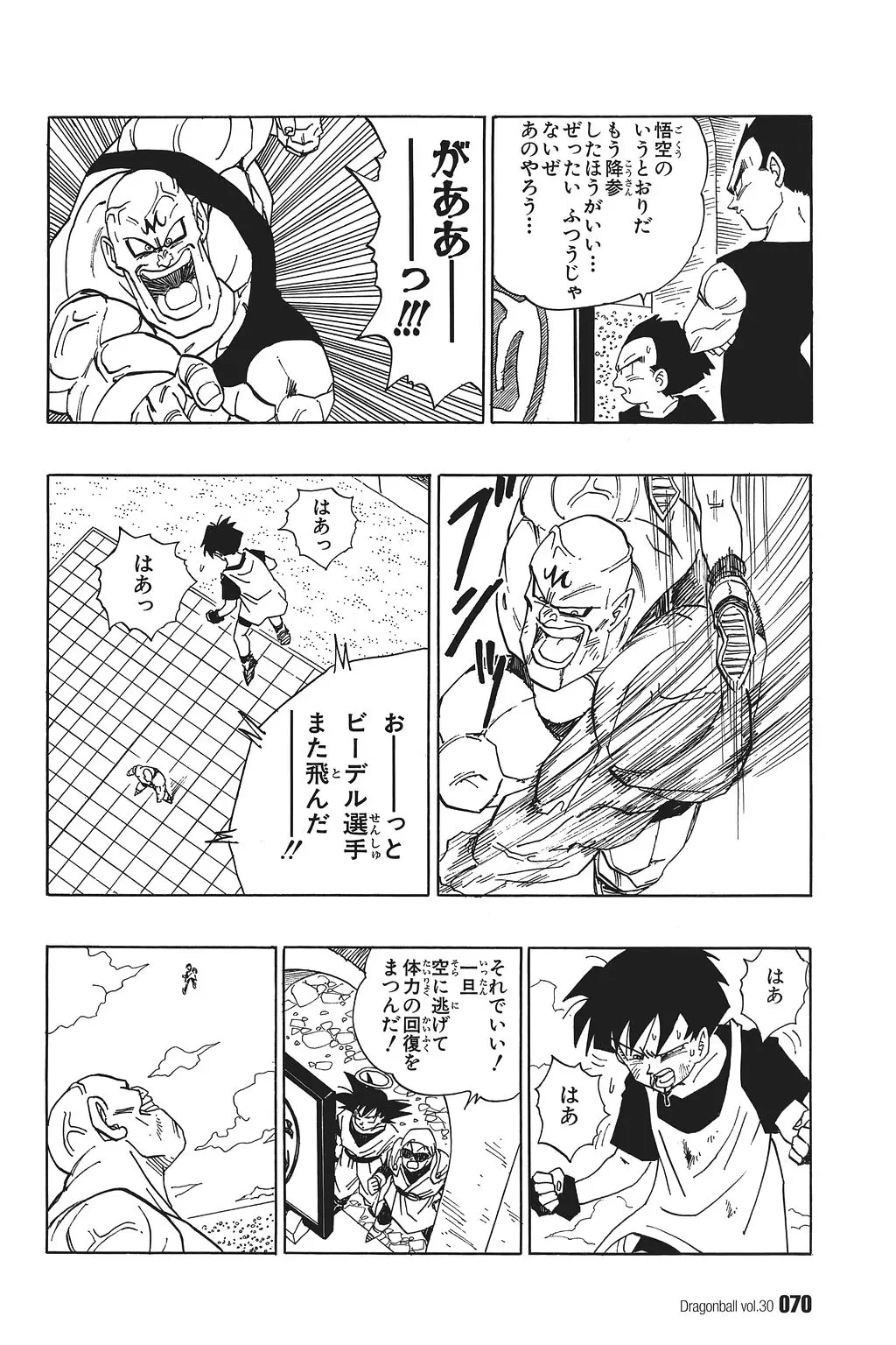 Chapitre 30 — Dragon Ball Kanzenban Vol. 30 — page 75