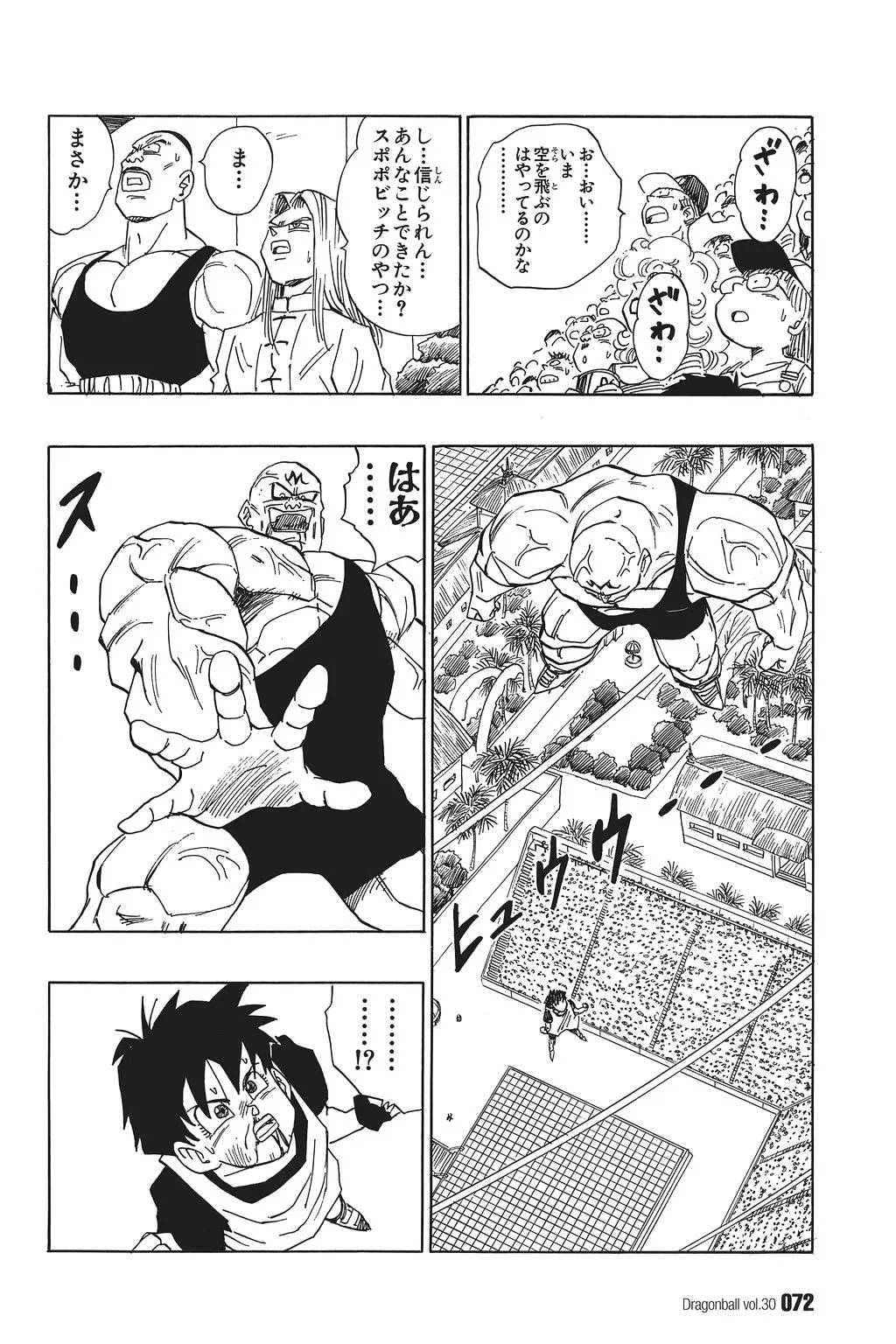 Chapitre 30 — Dragon Ball Kanzenban Vol. 30 — page 77