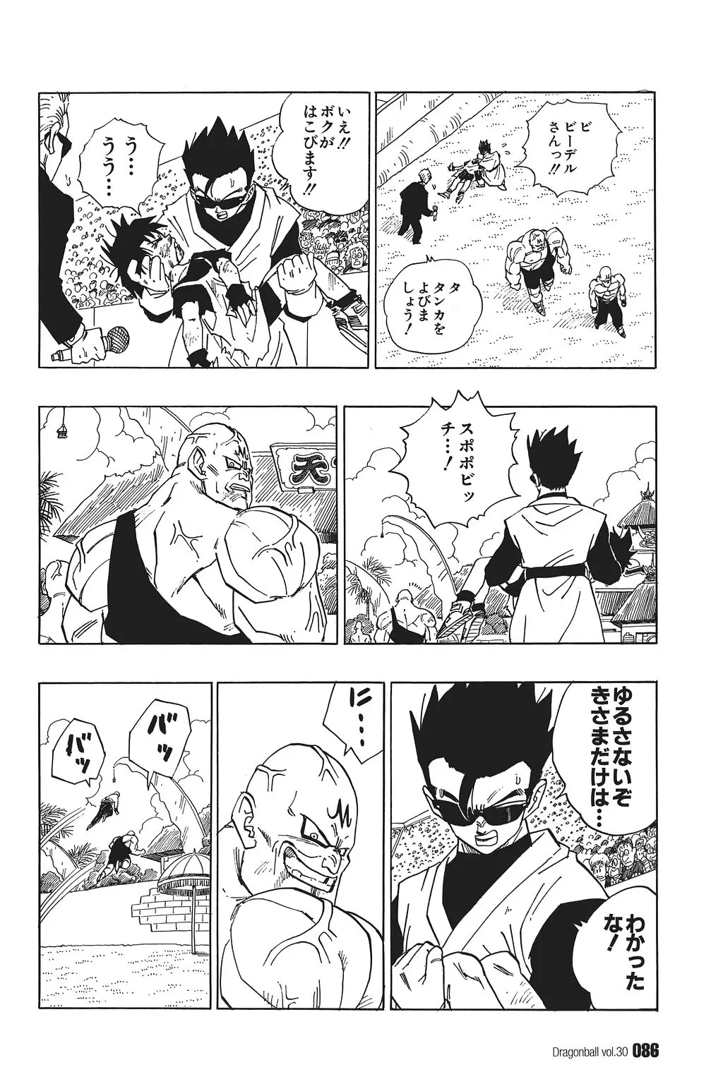 Chapitre 30 — Dragon Ball Kanzenban Vol. 30 — page 91