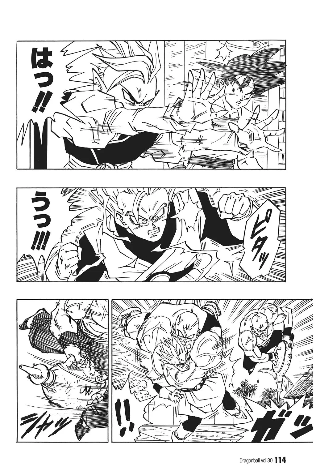 Chapitre 30 — Dragon Ball Kanzenban Vol. 30 — page 119