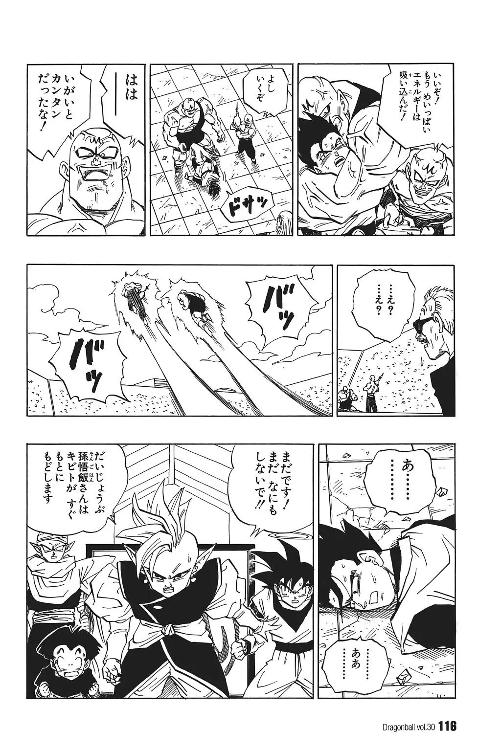 Chapitre 30 — Dragon Ball Kanzenban Vol. 30 — page 121