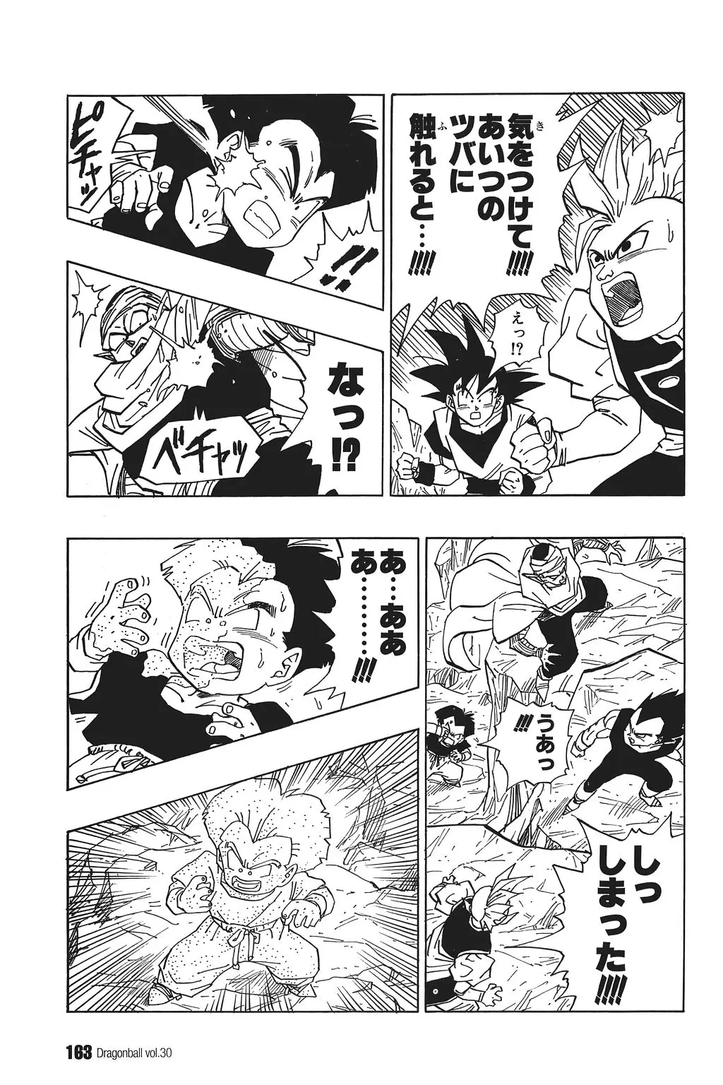 Chapitre 30 — Dragon Ball Kanzenban Vol. 30 — page 167