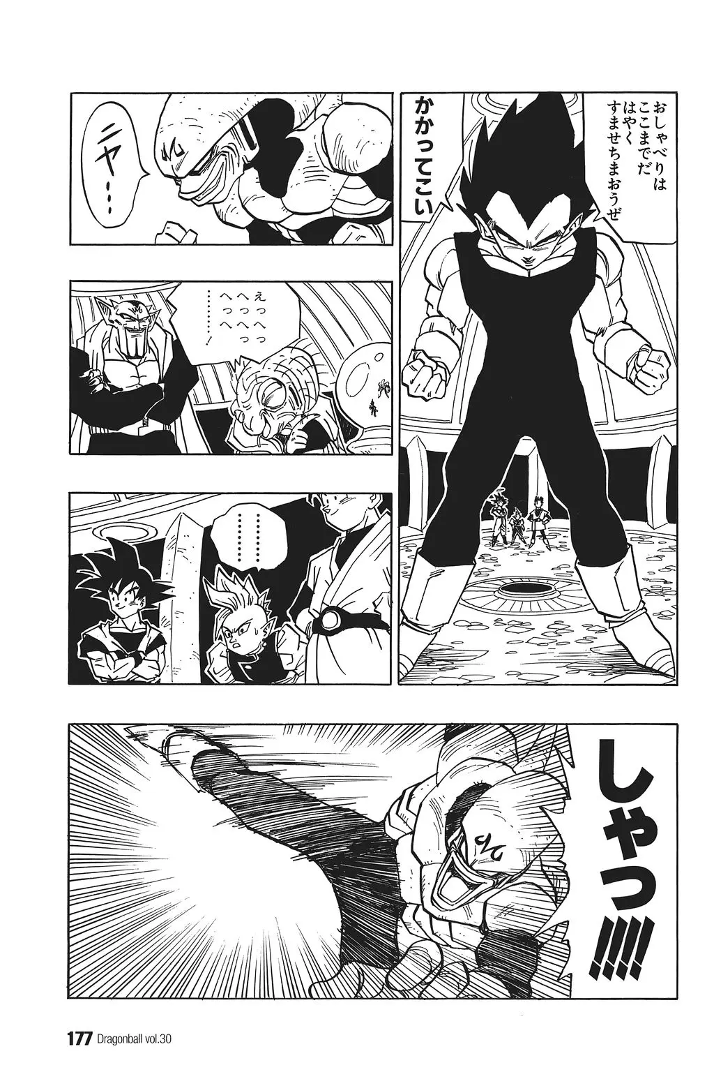 Chapitre 30 — Dragon Ball Kanzenban Vol. 30 — page 181