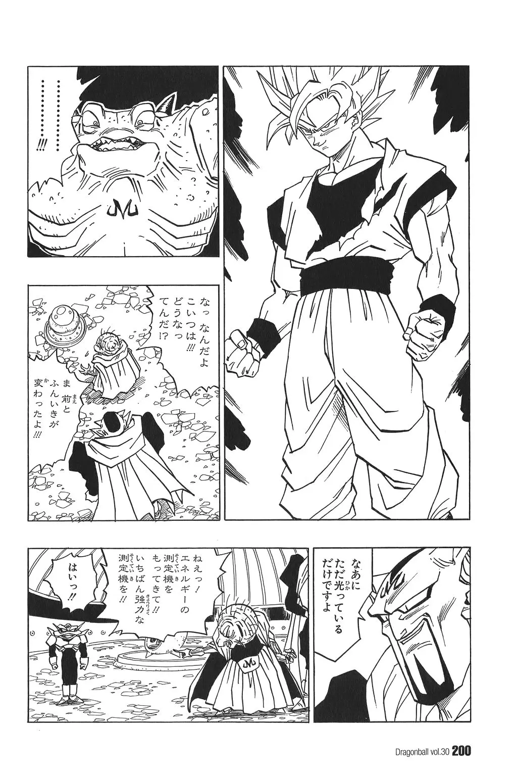 Chapitre 30 — Dragon Ball Kanzenban Vol. 30 — page 204