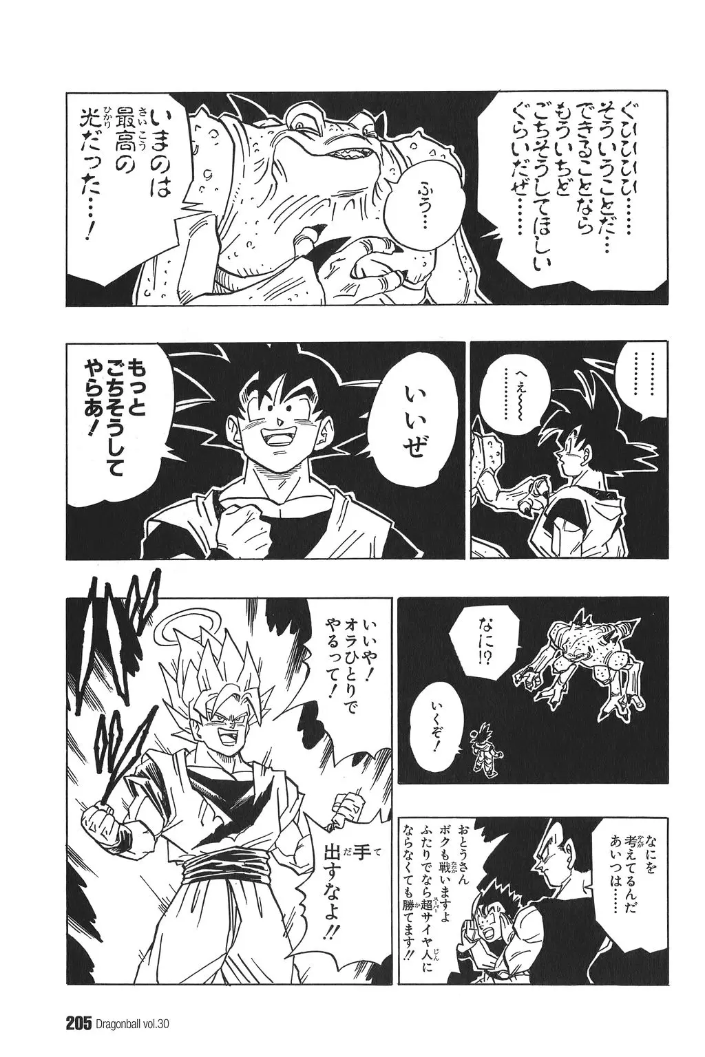 Chapitre 30 — Dragon Ball Kanzenban Vol. 30 — page 209