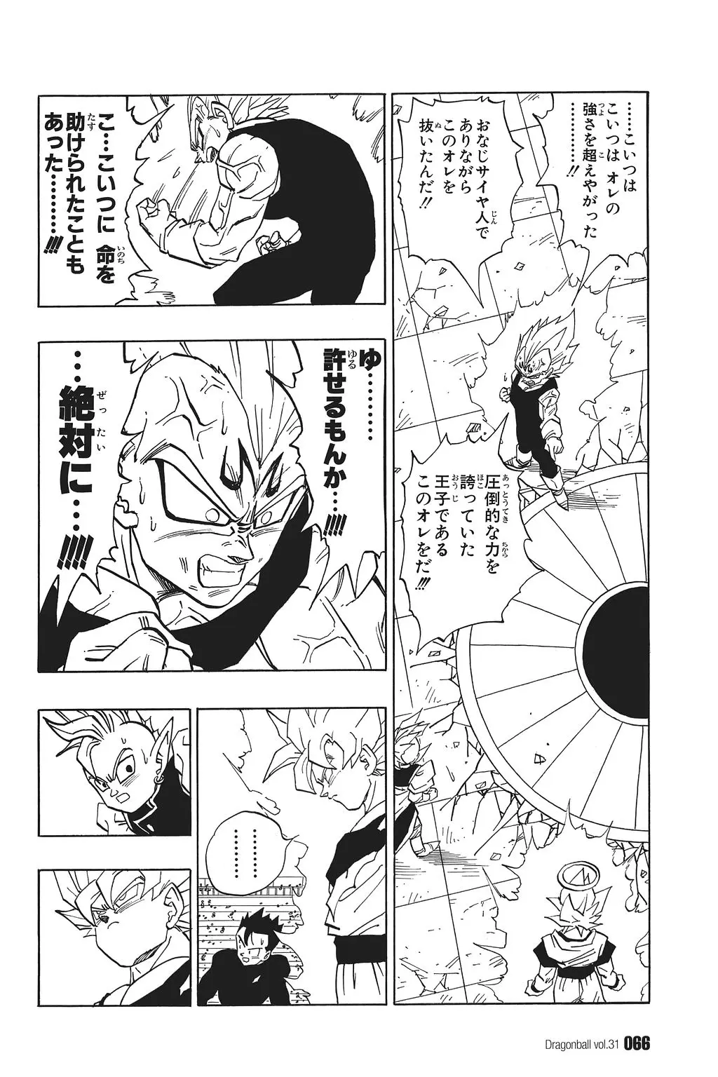Chapitre 31 — Dragon Ball Kanzenban Vol. 31 — page 71