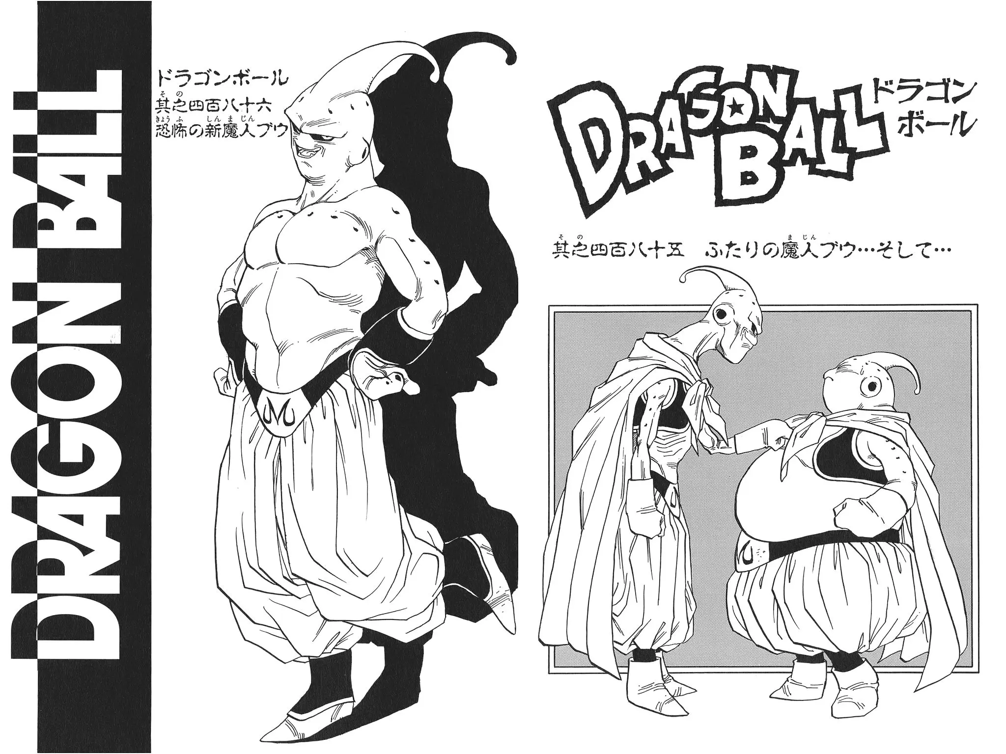Chapitre 32 — Dragon Ball Kanzenban Vol. 32 — page 241